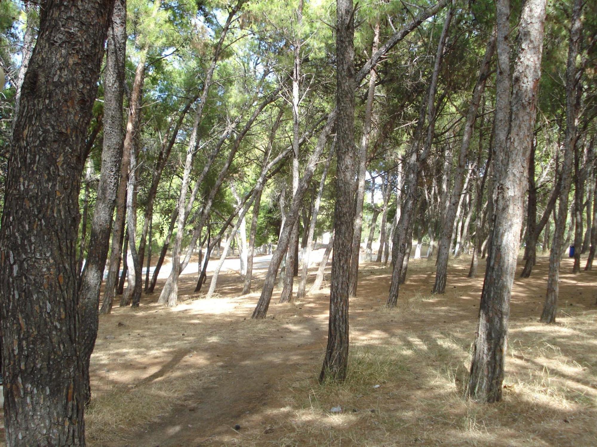Apartment Zinovia *