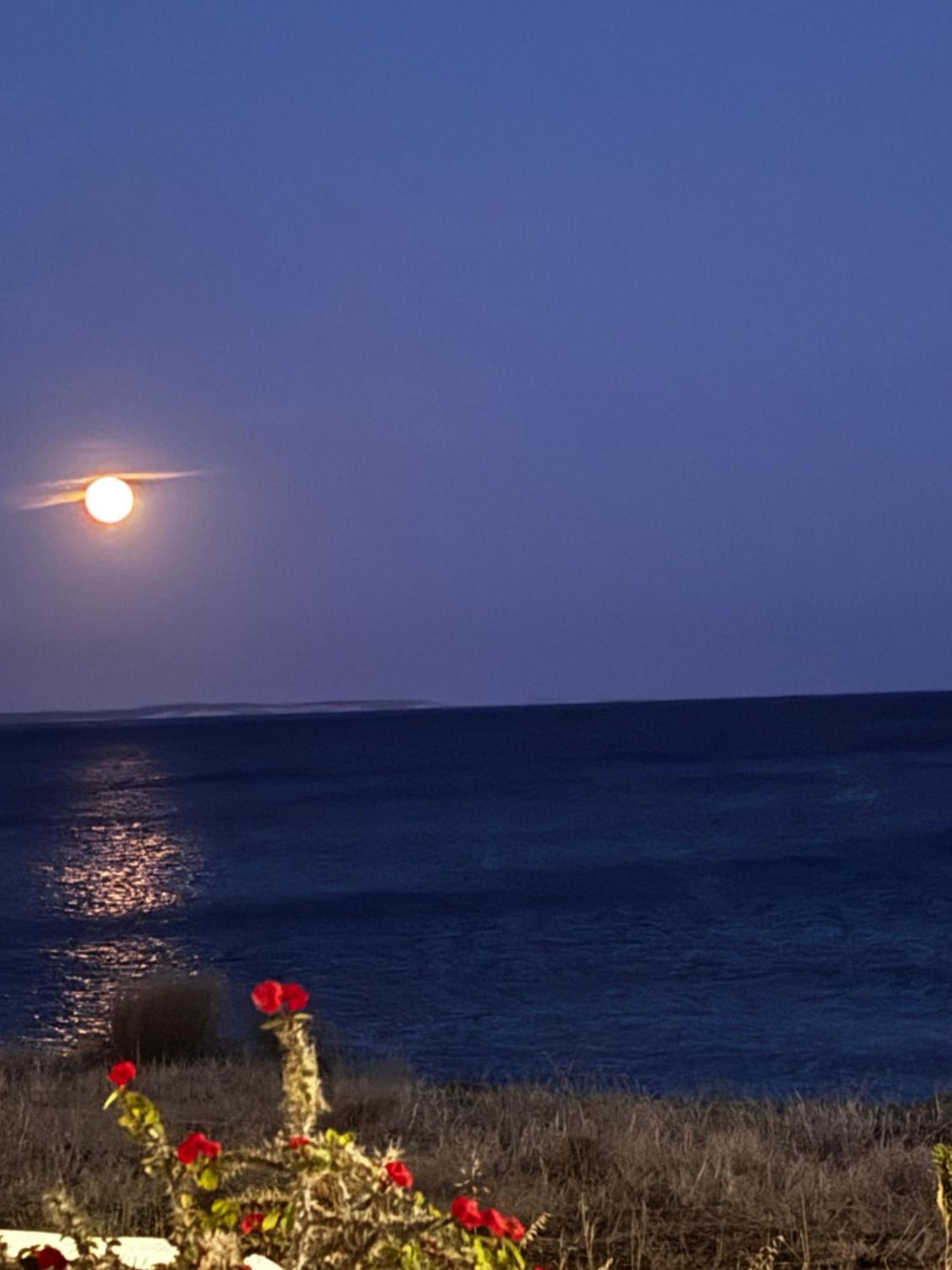Blue Sea