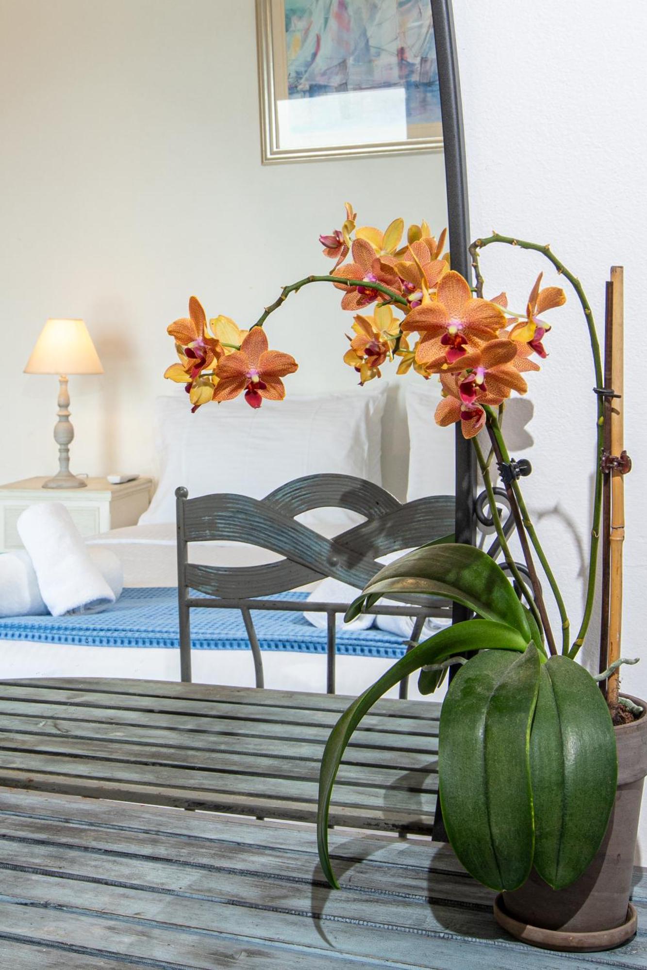 Dimitra With Private Pool And Sea View -the Ground Floor Of A Two Storey Building Holiday home *