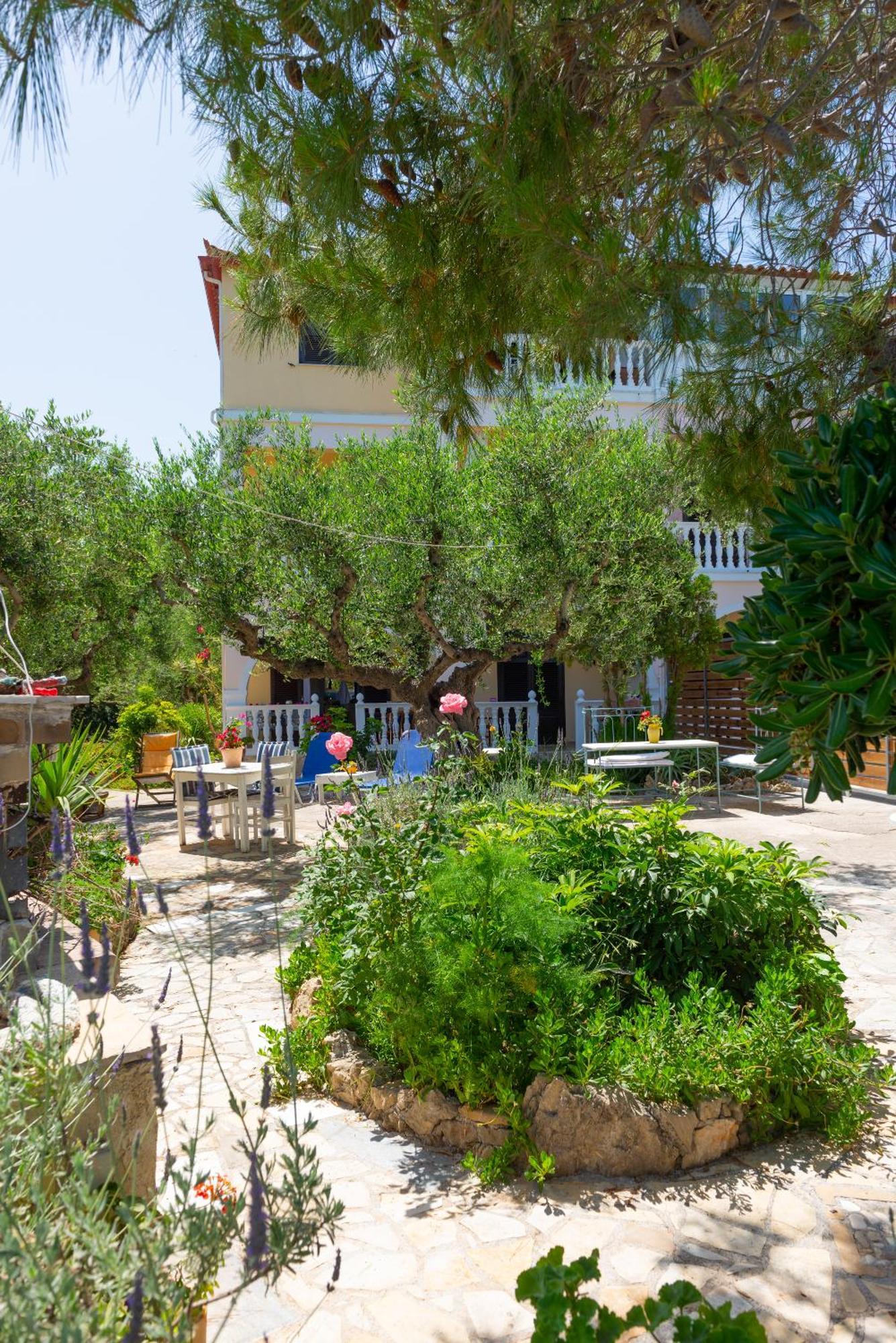 Skyblue Horizon 3 * Tsilivi (Zakynthos)