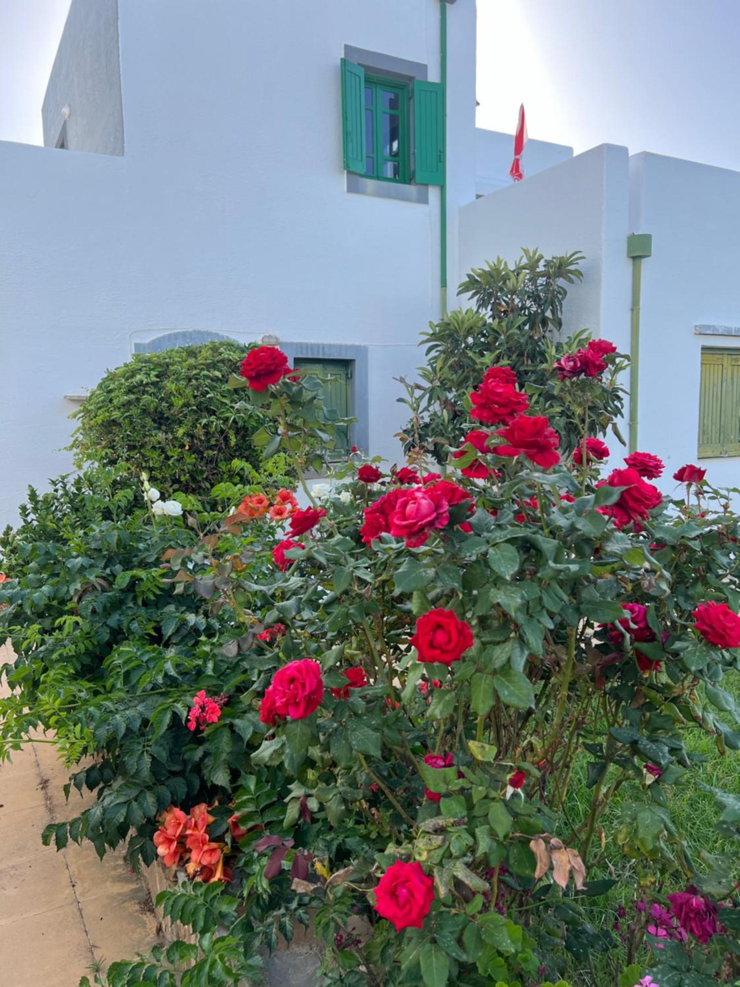 Island Away Chersonisos