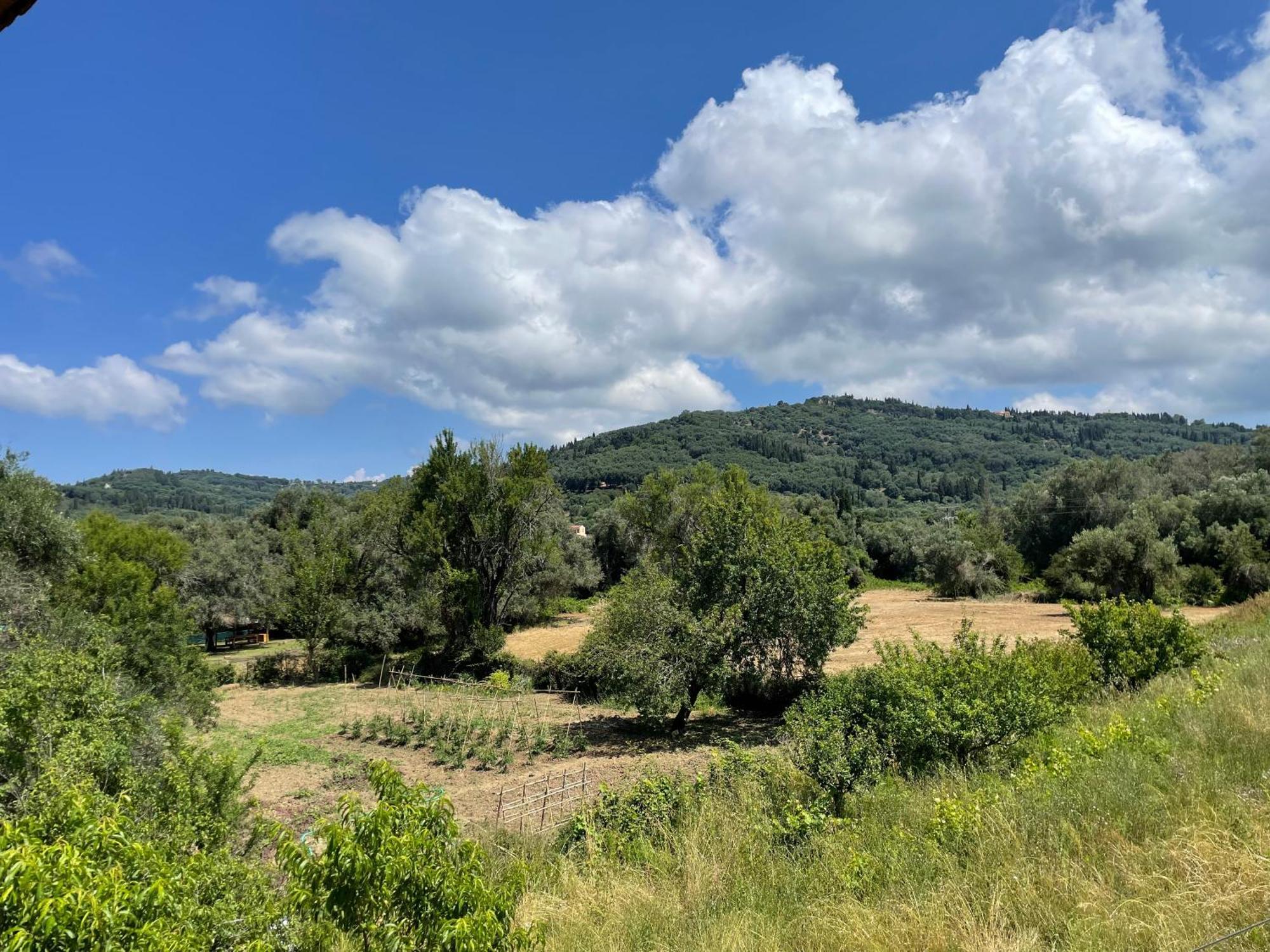 Katerina Apartment Agios Georgios Pagon