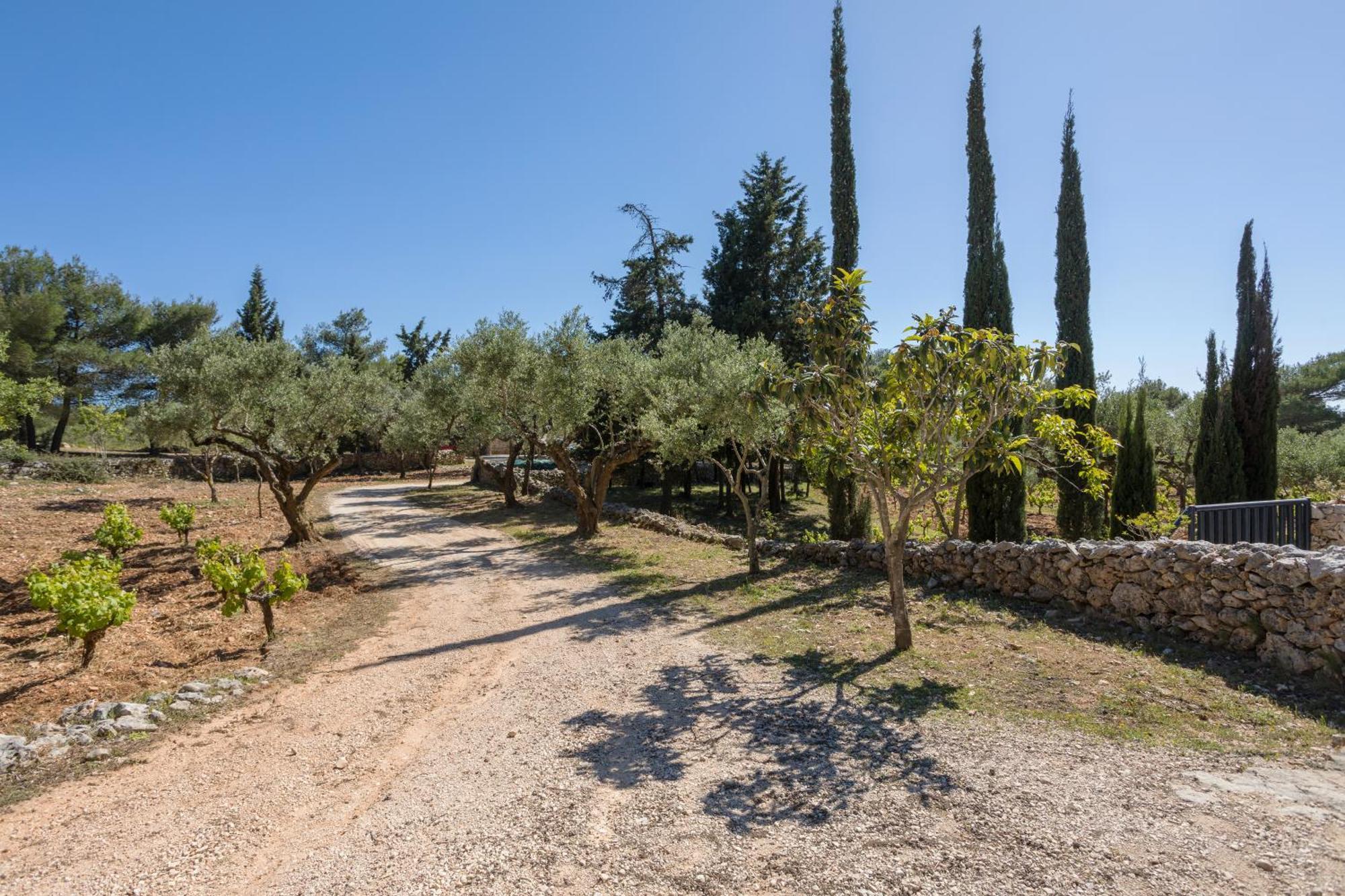 Aresti Mountain * Agios Leon