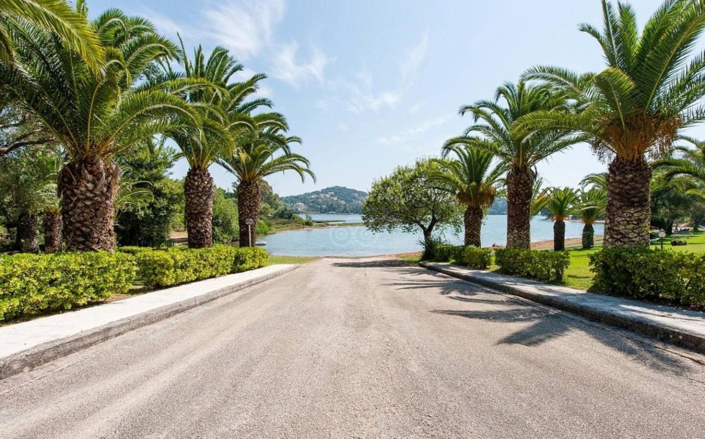 Palme E Mare Corfu Danilia