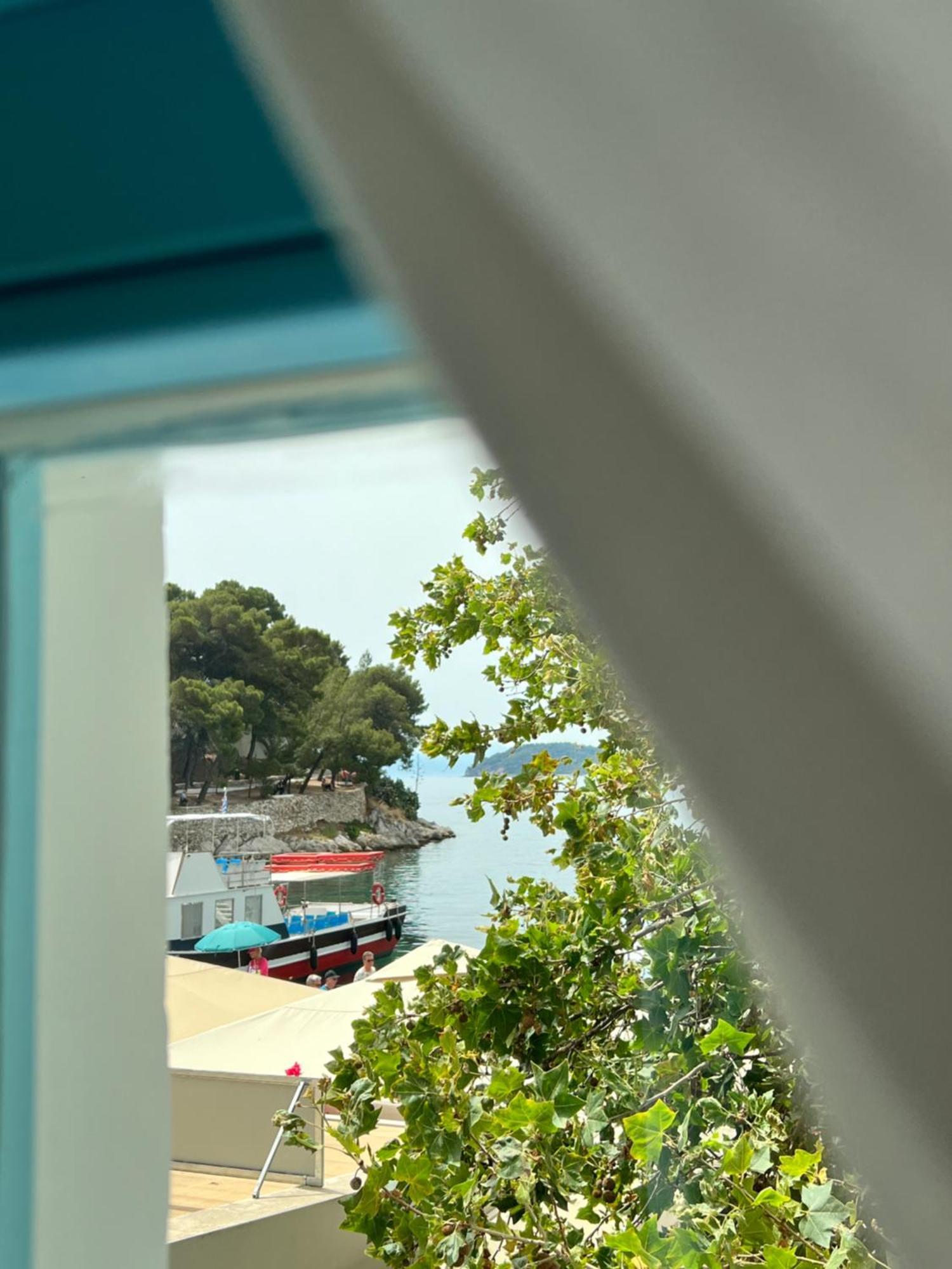 Olea Blue *