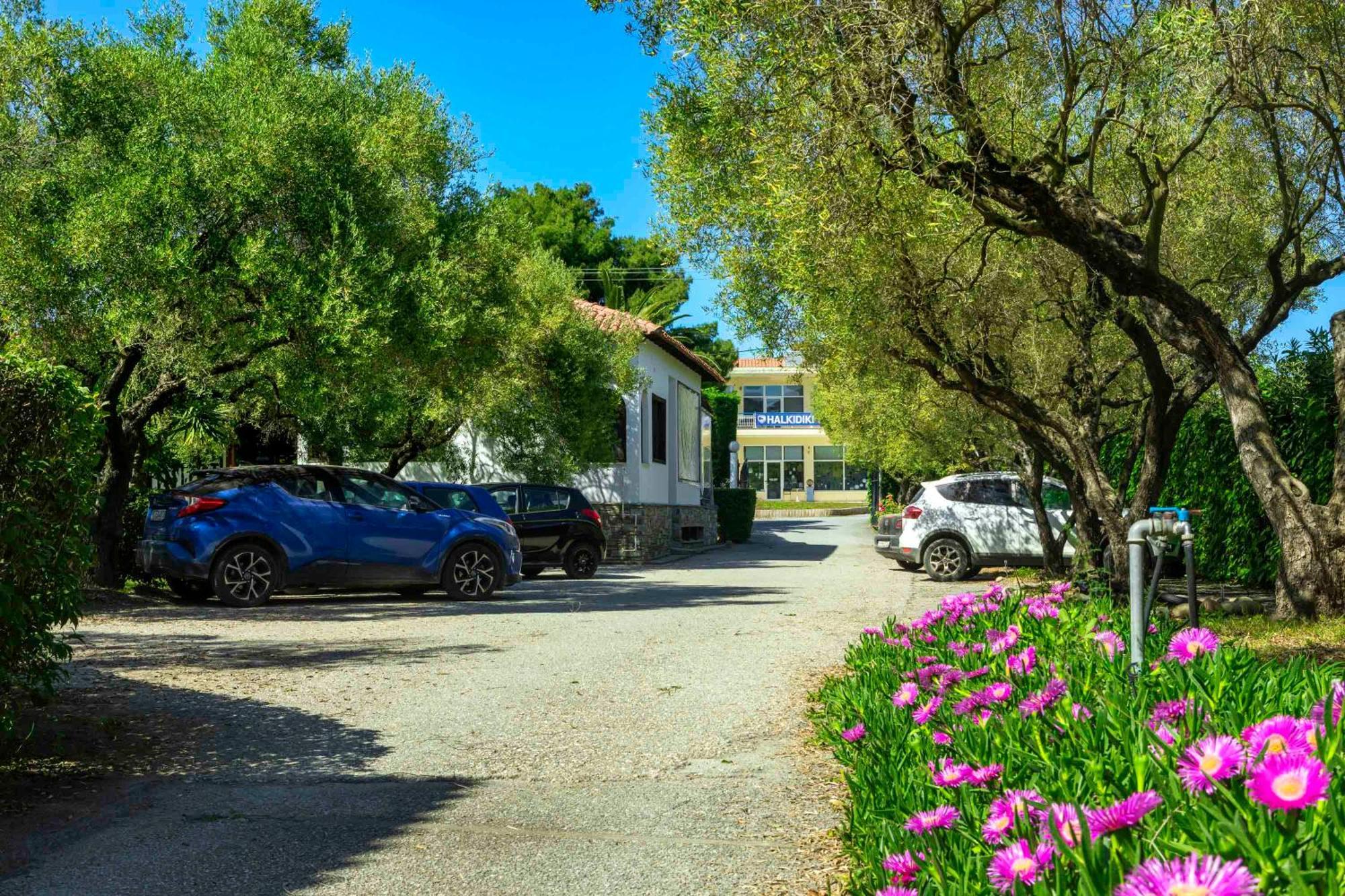 Village Hotel