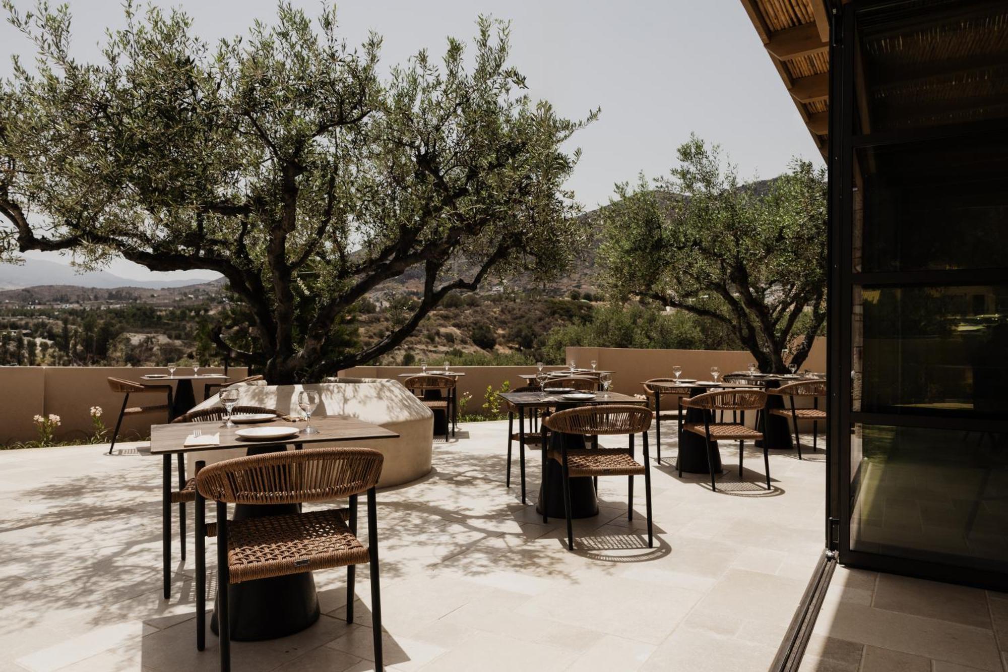 Hotel Momi Slow Living Hersonissos (Crete)