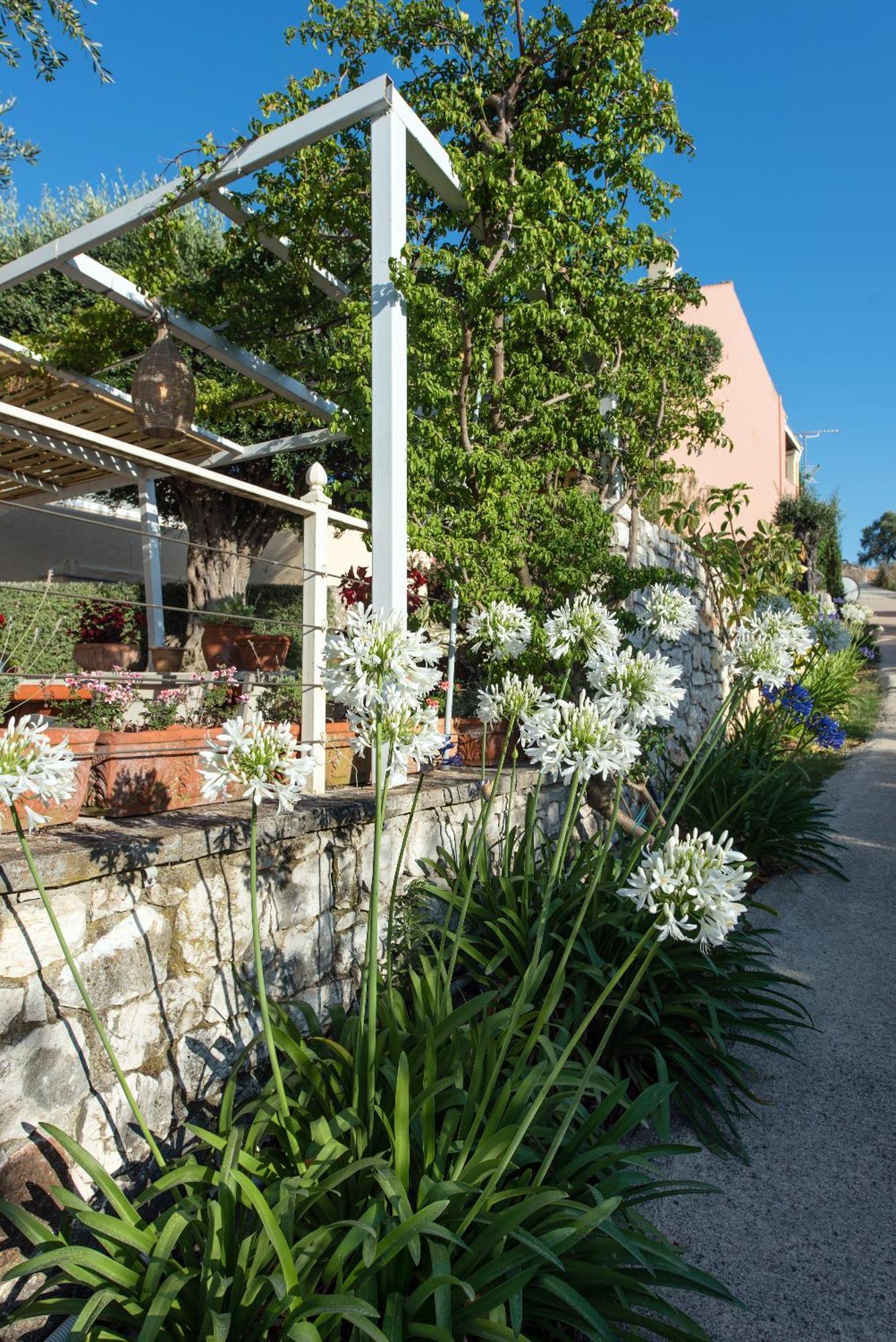 Hotel Hill Lofos Kassiopi