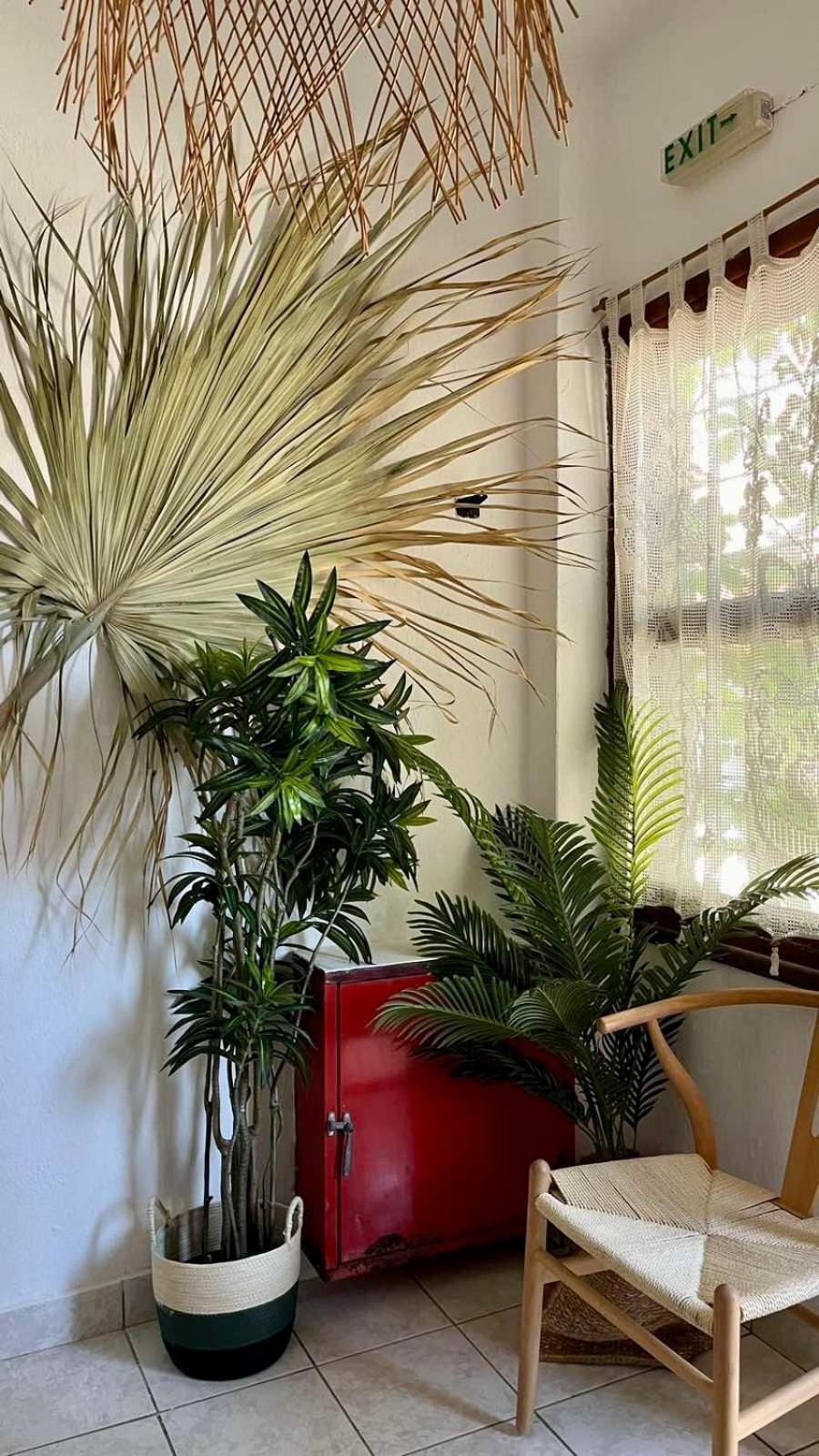 Apartment Acanthus *