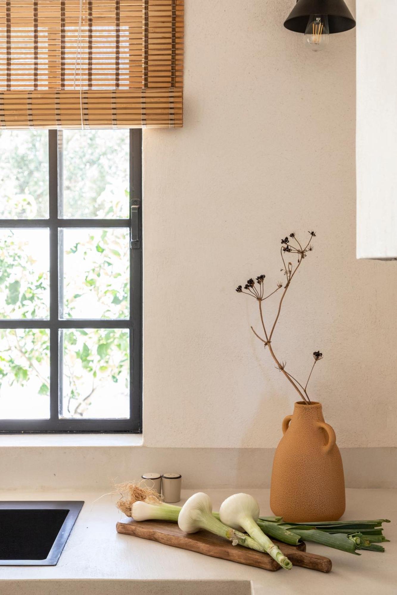 Bozonos Slow Living - Seaside Simplicity Villa Amoudi