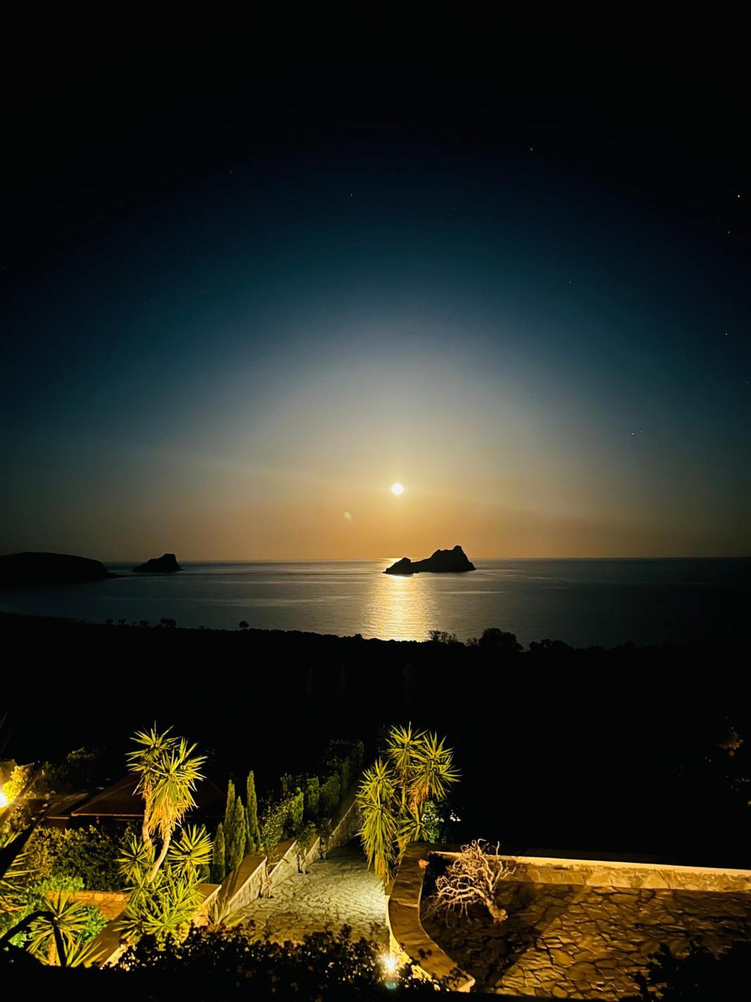 Natica Mare * Xerokampos (Crete)