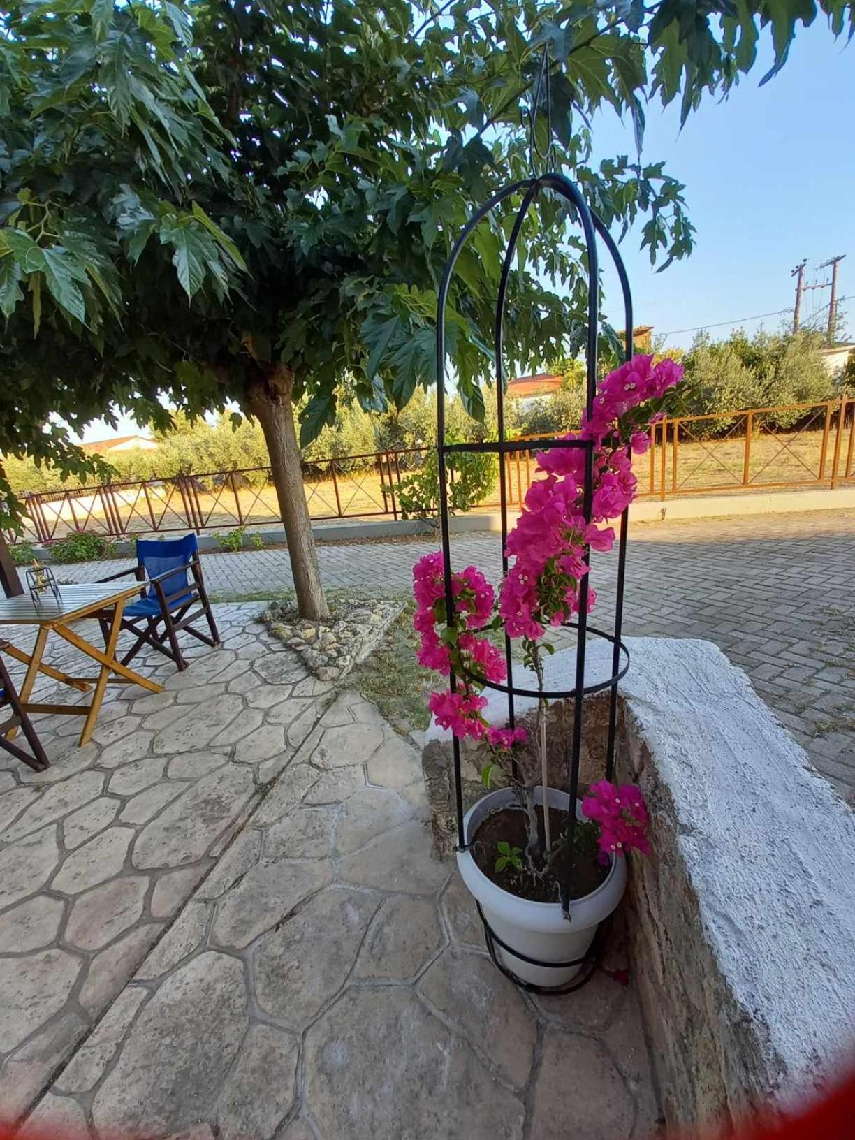 Luxury Stone House Villa