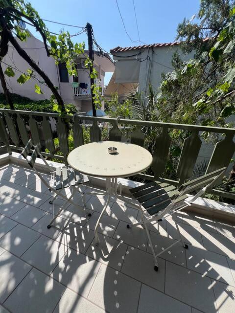 Acanthus Toroni