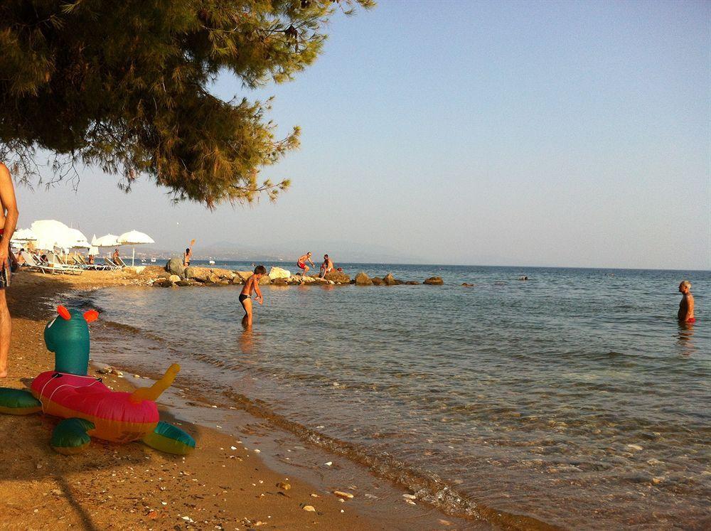 Loxandra 3*