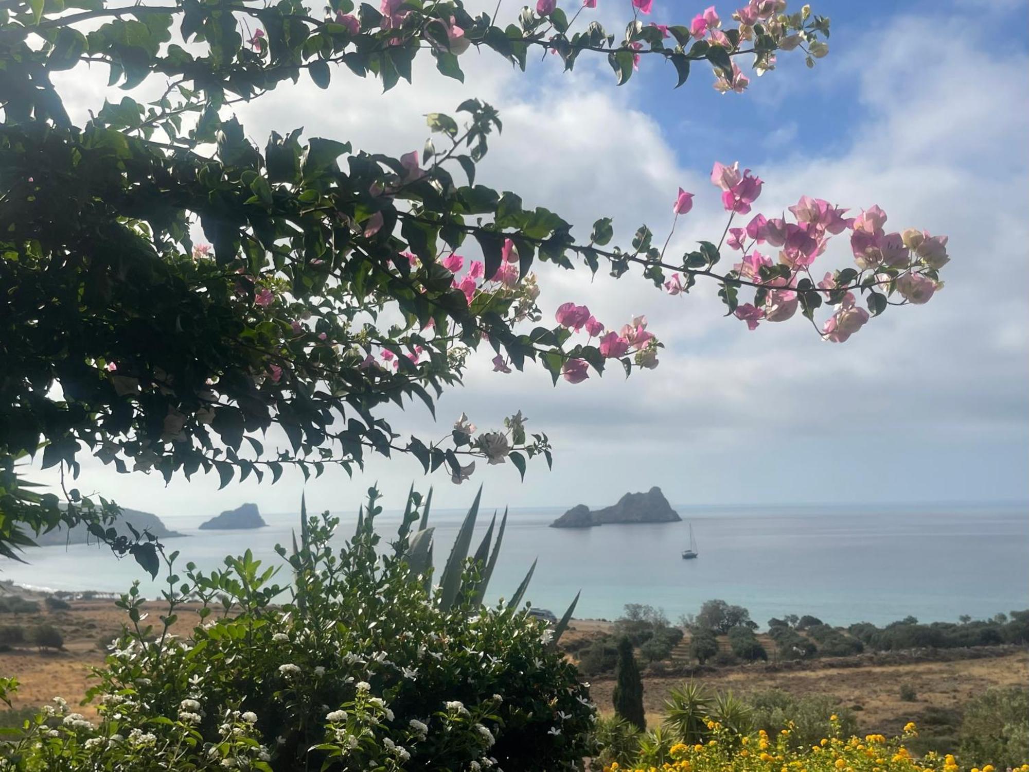 Holiday home Natica Mare