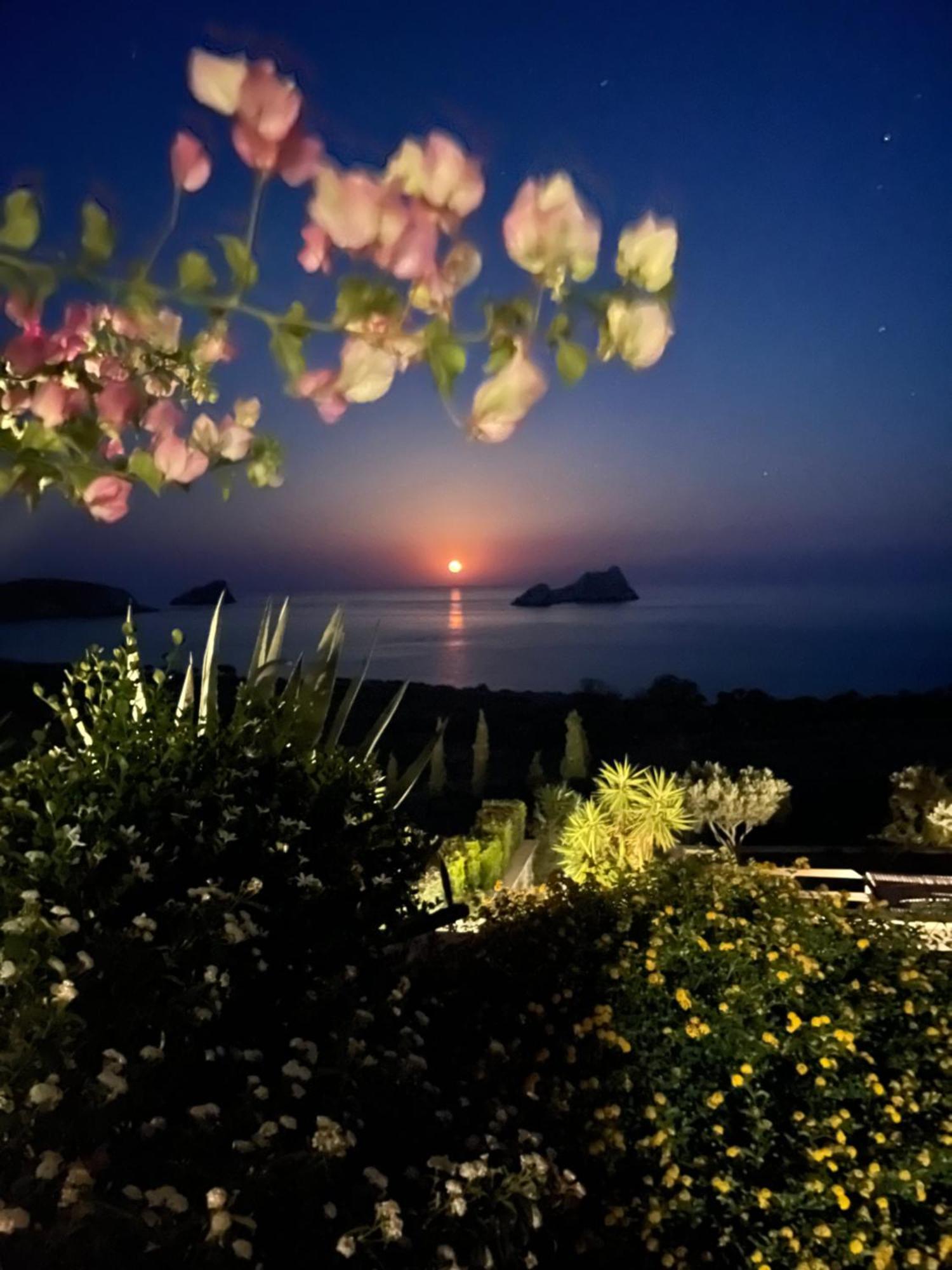 Natica Mare * Xerokampos (Crete)
