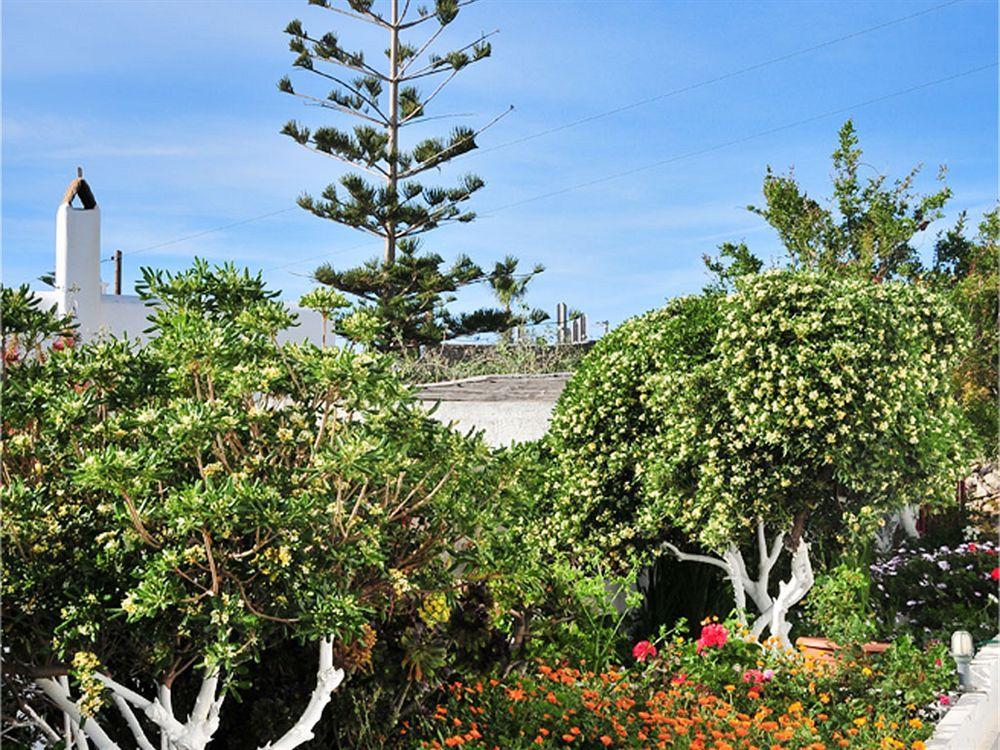 Guest house Dimitra Mykonos Town