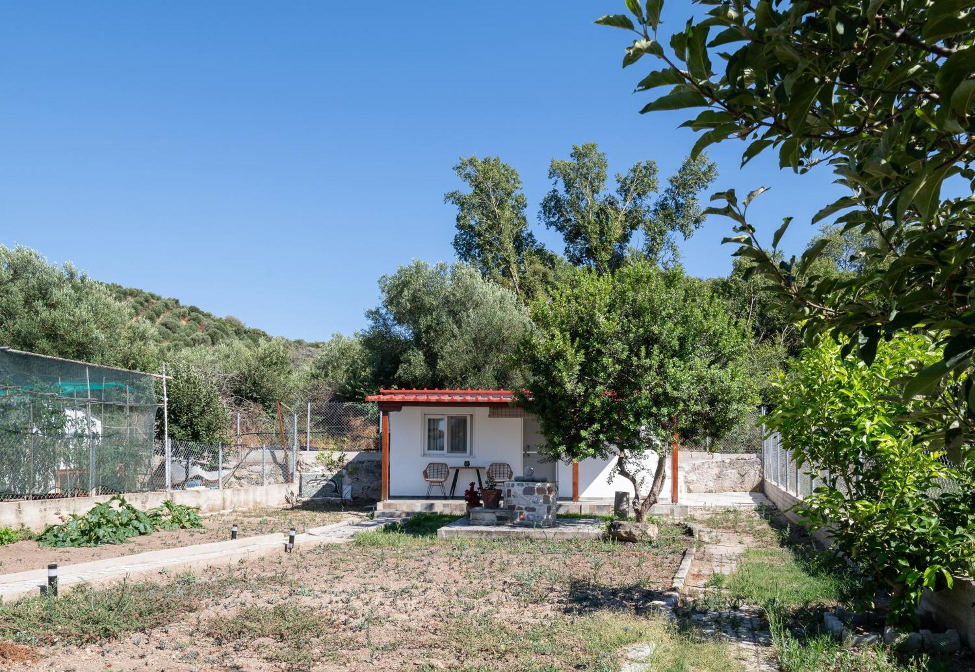 Adam House-castle View Toroni