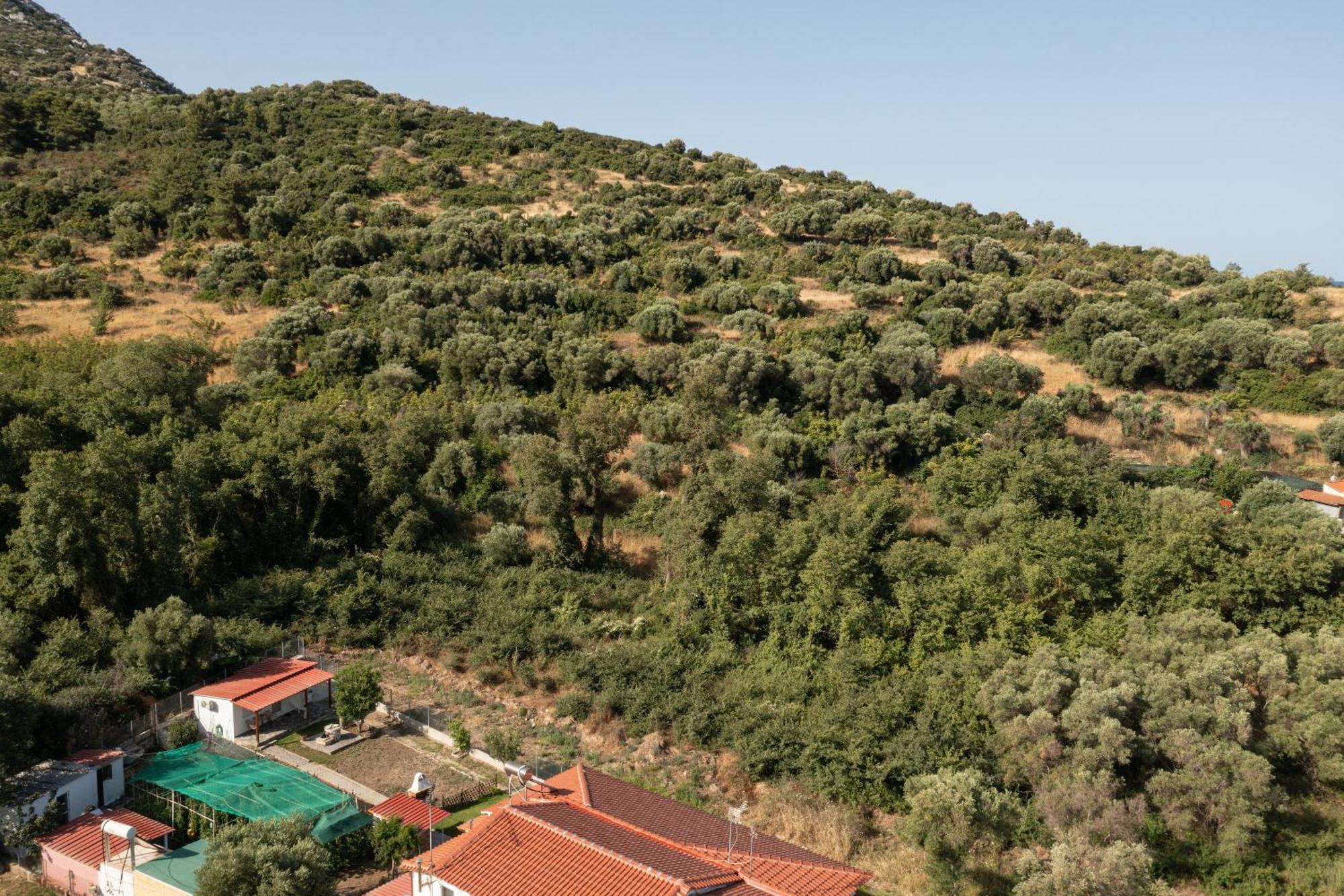 Adam House-castle View * Toroni