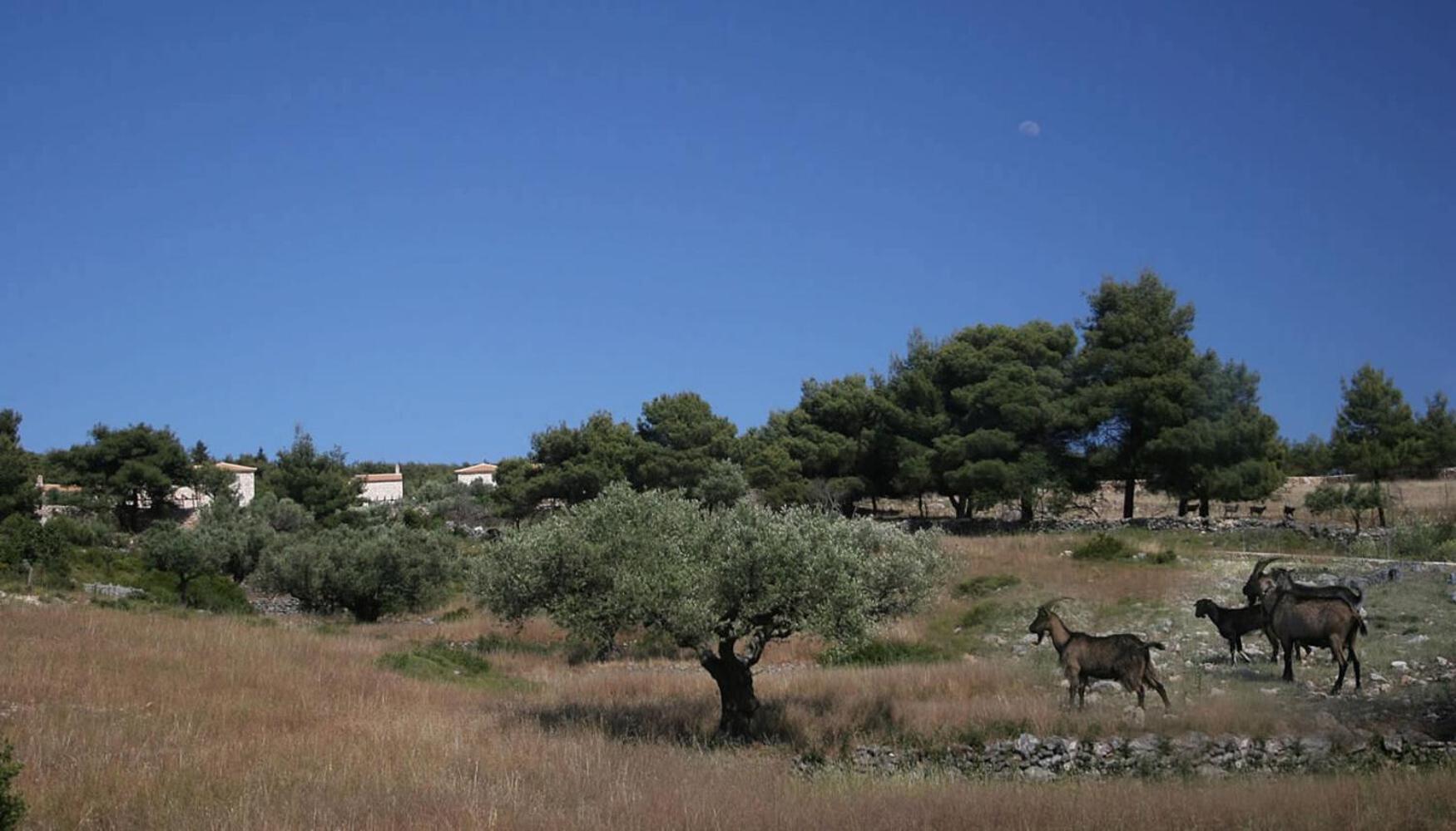 Aresti Mountain *