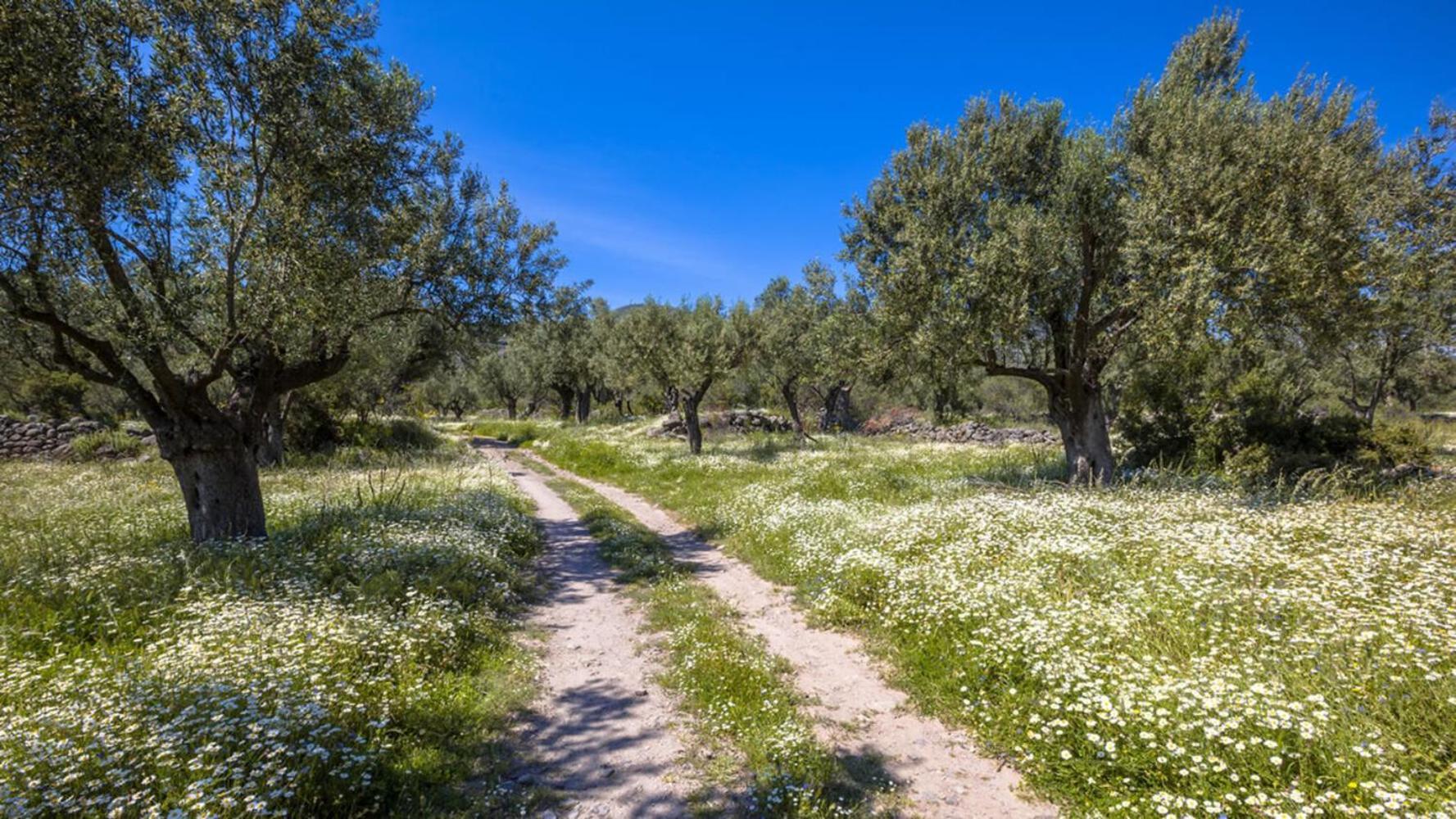 Aresti Mountain * Agios Leon