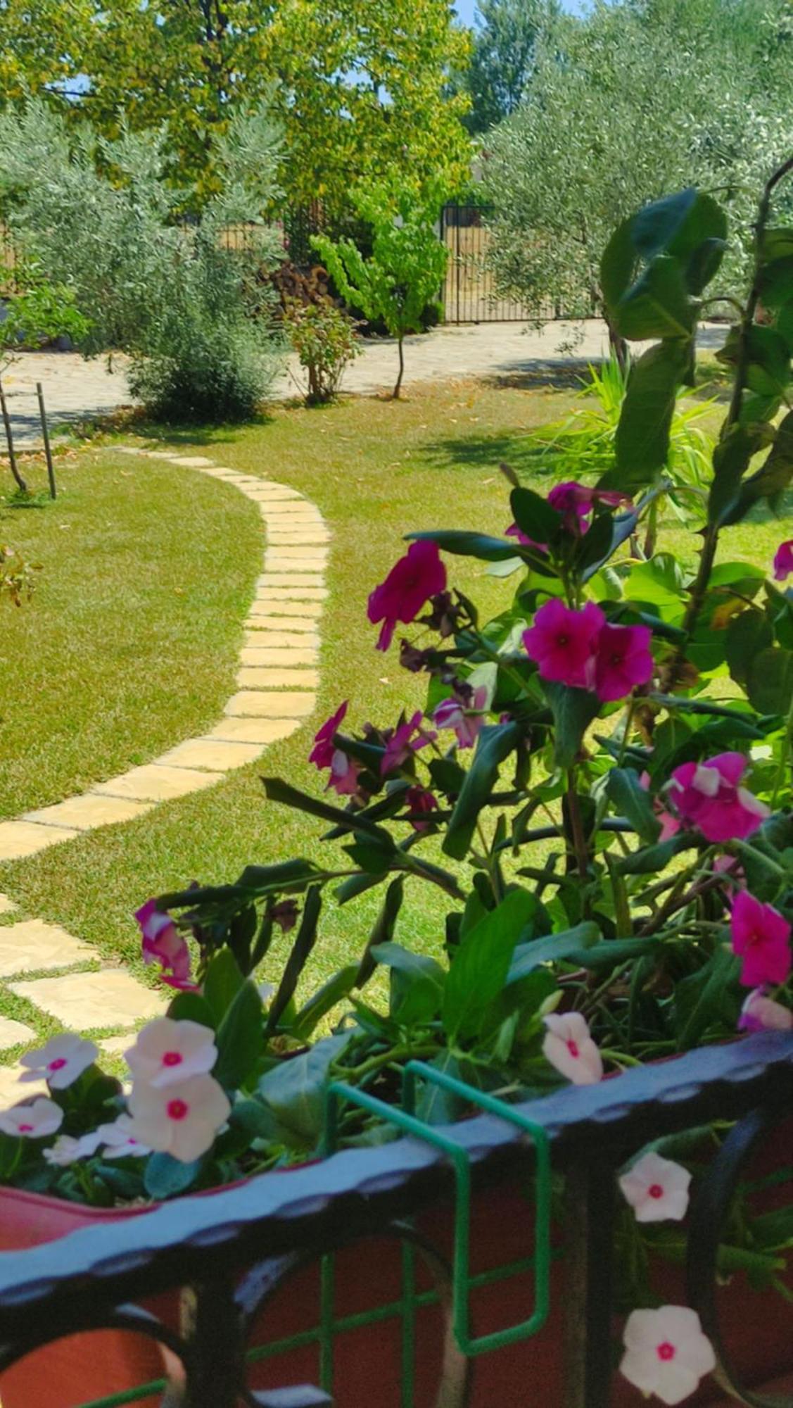 Holiday home House Agios Mamas (Chalkidiki)