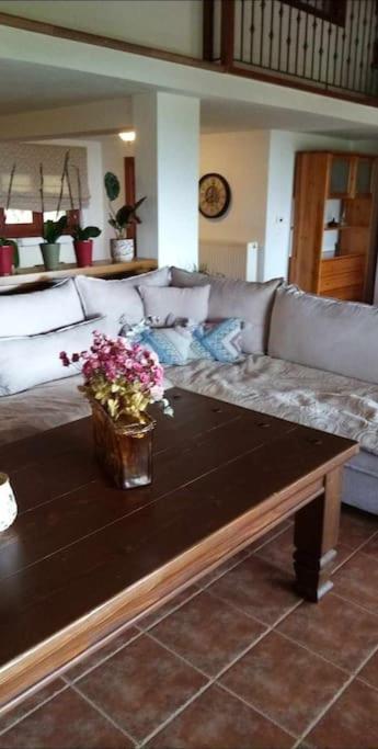 άνετη με μαγευτική θέα Villa Skiathos Town