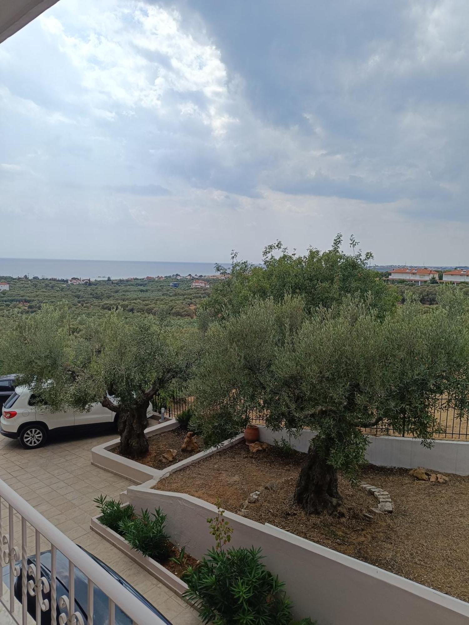 Olive & Garden Holiday home *