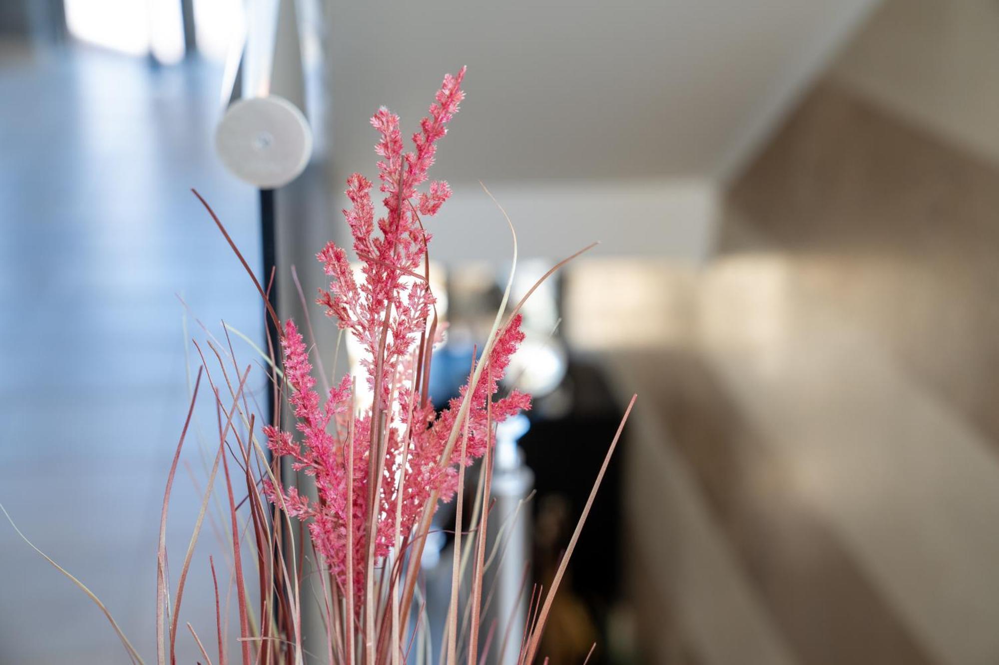 Hotel Vellum Luxury Living 2*