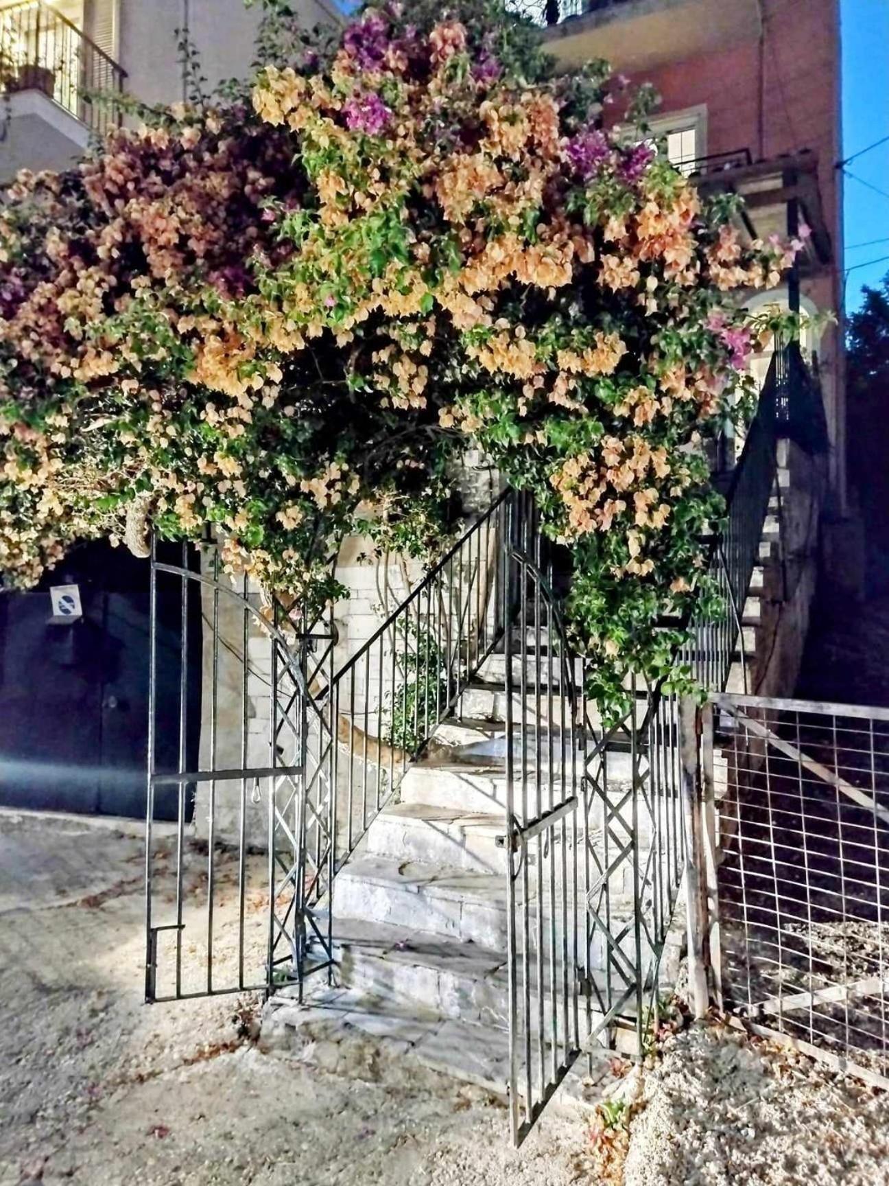 Corfu 2 Apartment