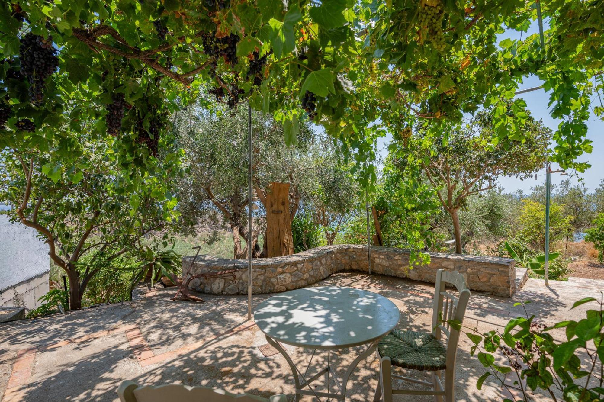 Holiday home Gallery Keratokampos