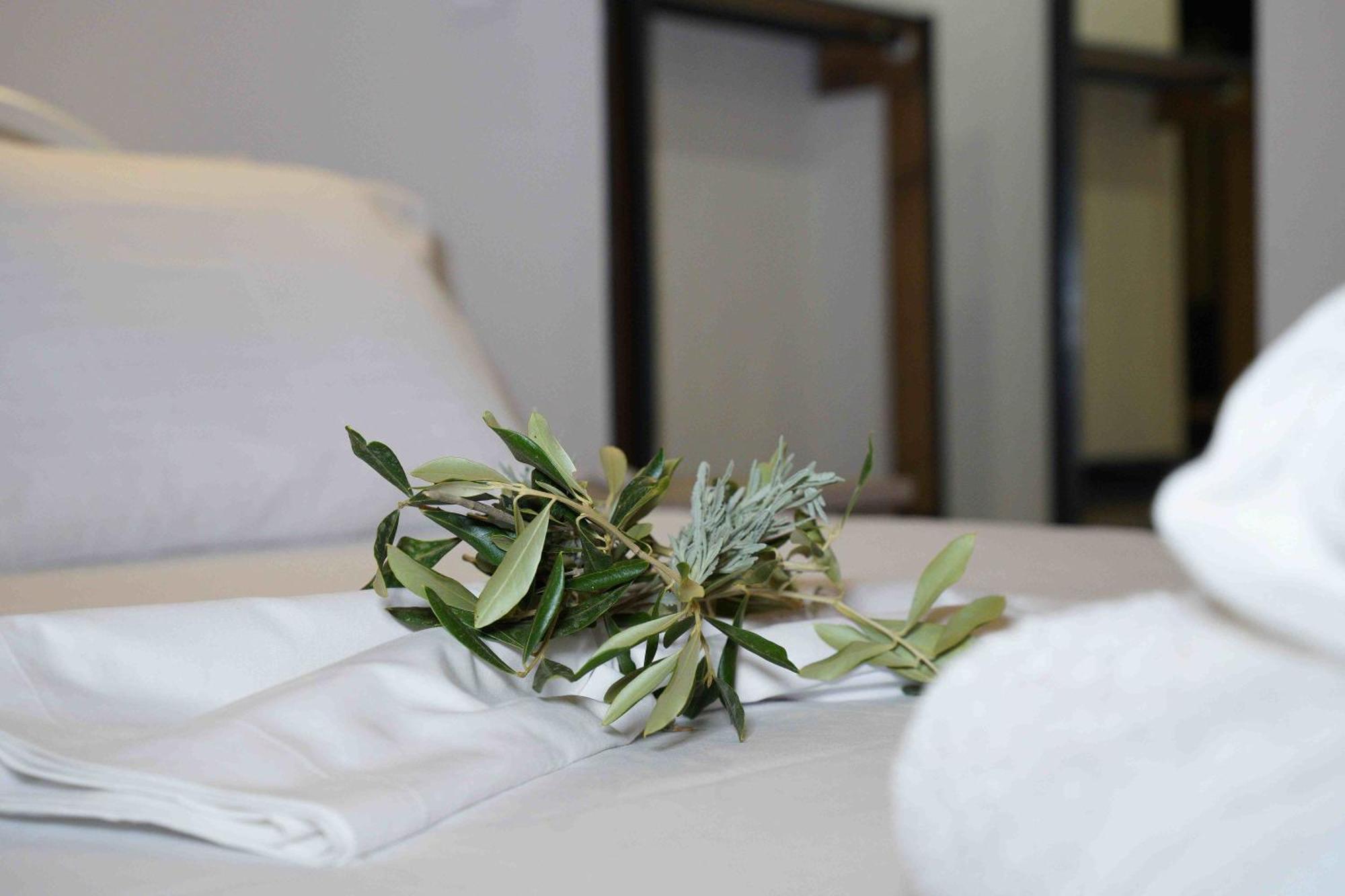 Holiday home Casa Kobo *