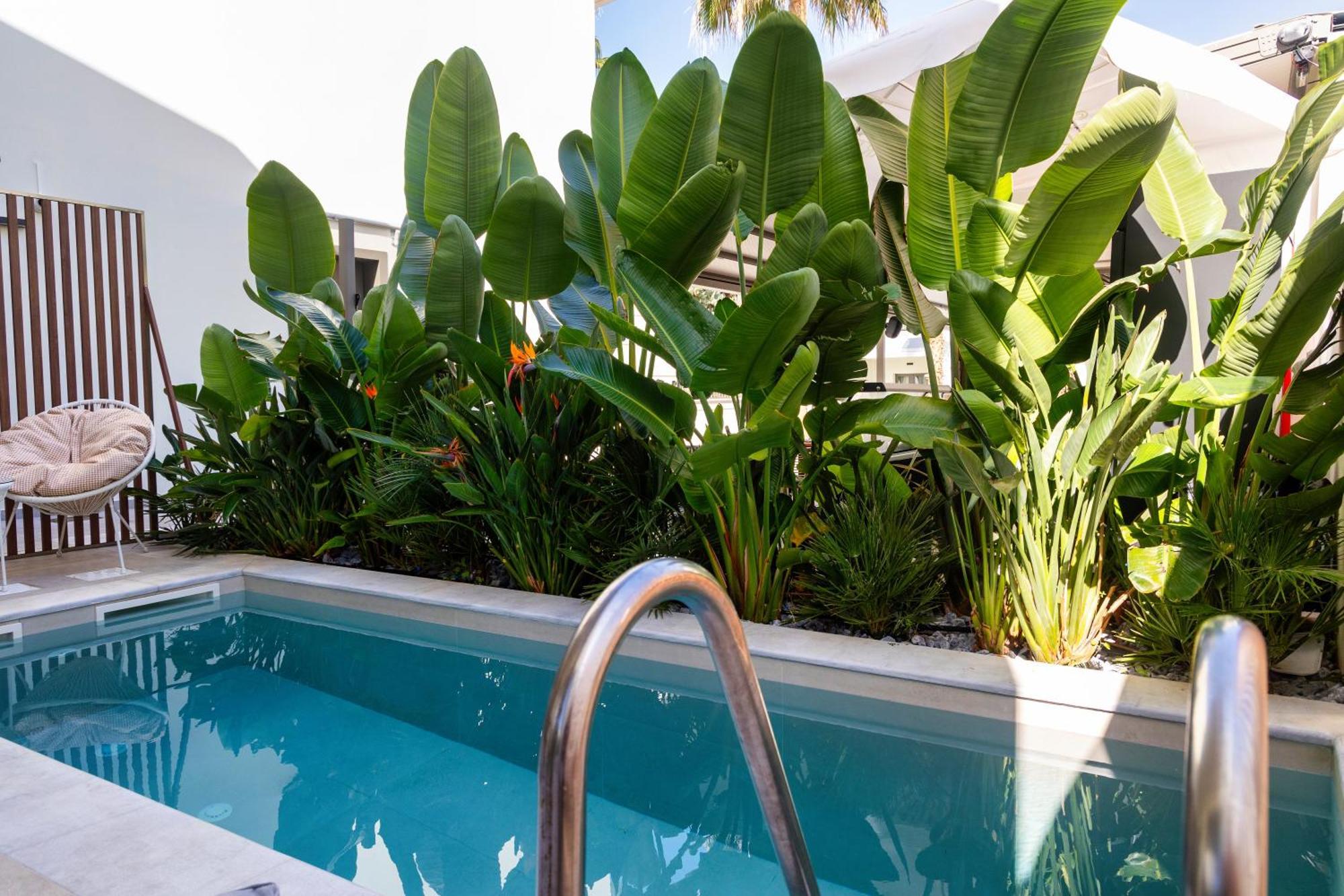 Aparthotel Summer Dream 3*