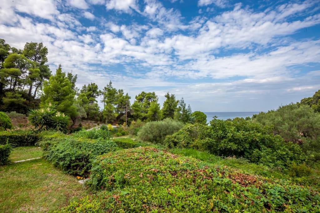 Onar Close To The Skala Fourkas