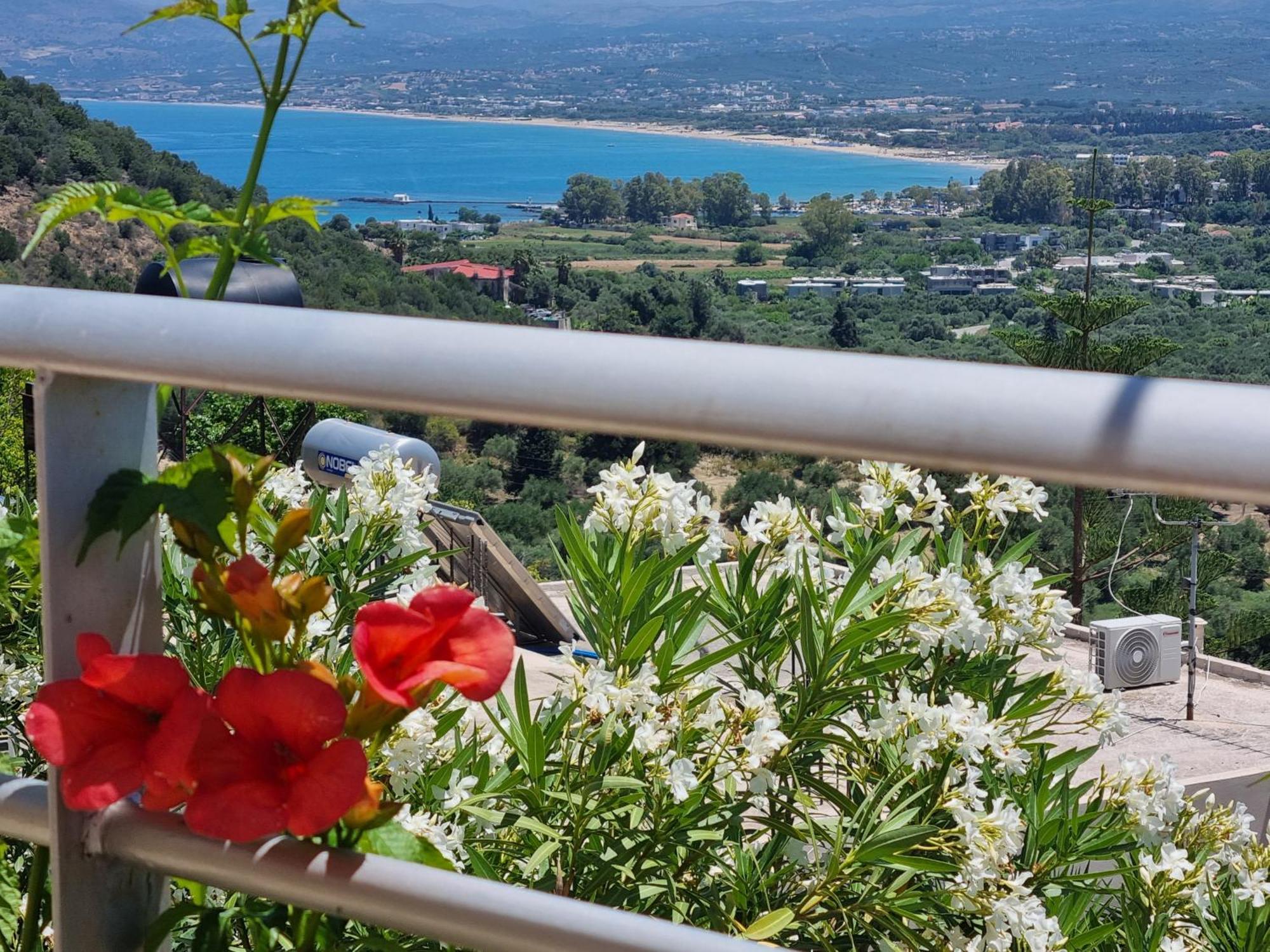 Aloe Chania Crete * Georgioupoli