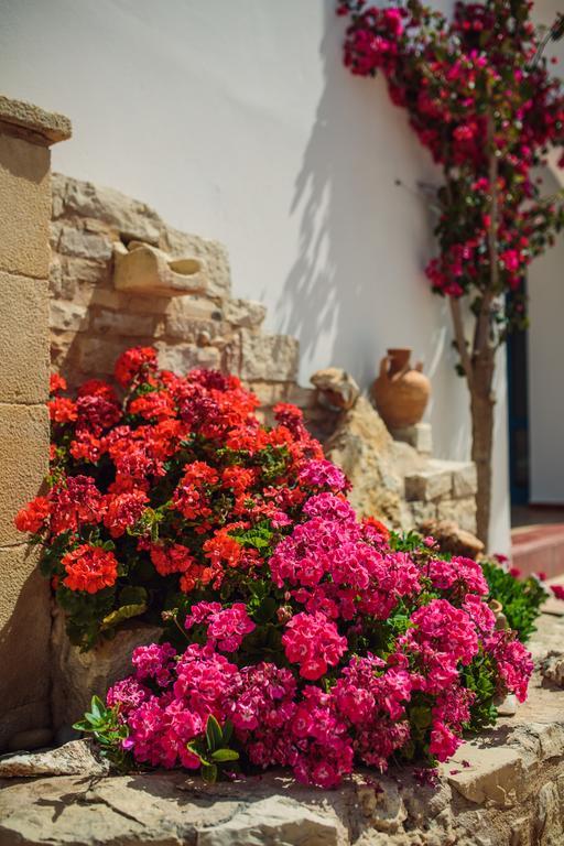 Aparthotel Iliana