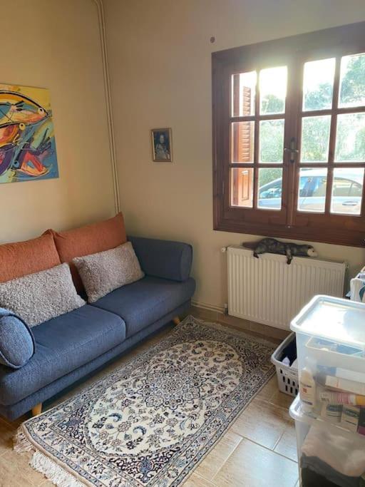 Anja's Villa Agios Georgios (Corfu)