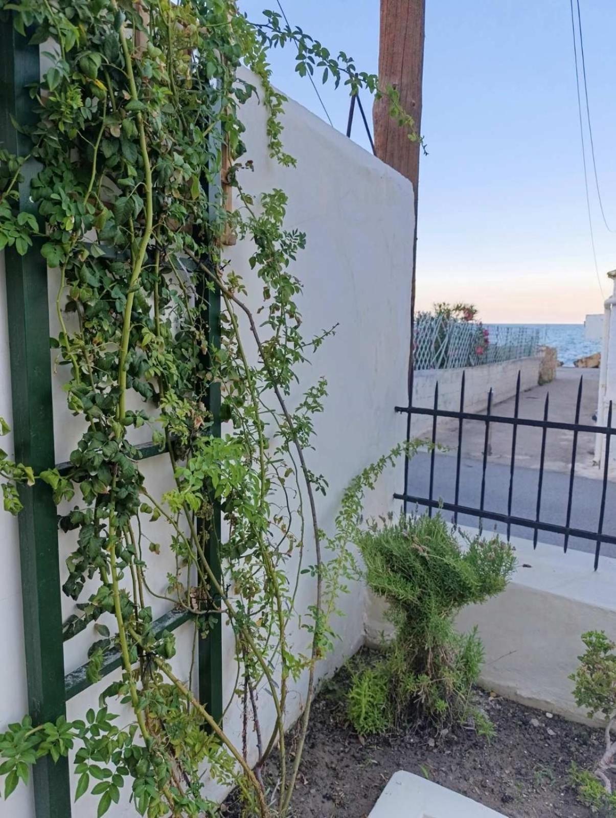 Jasmine By The Sea By 8essentially Holiday home Kalyves
