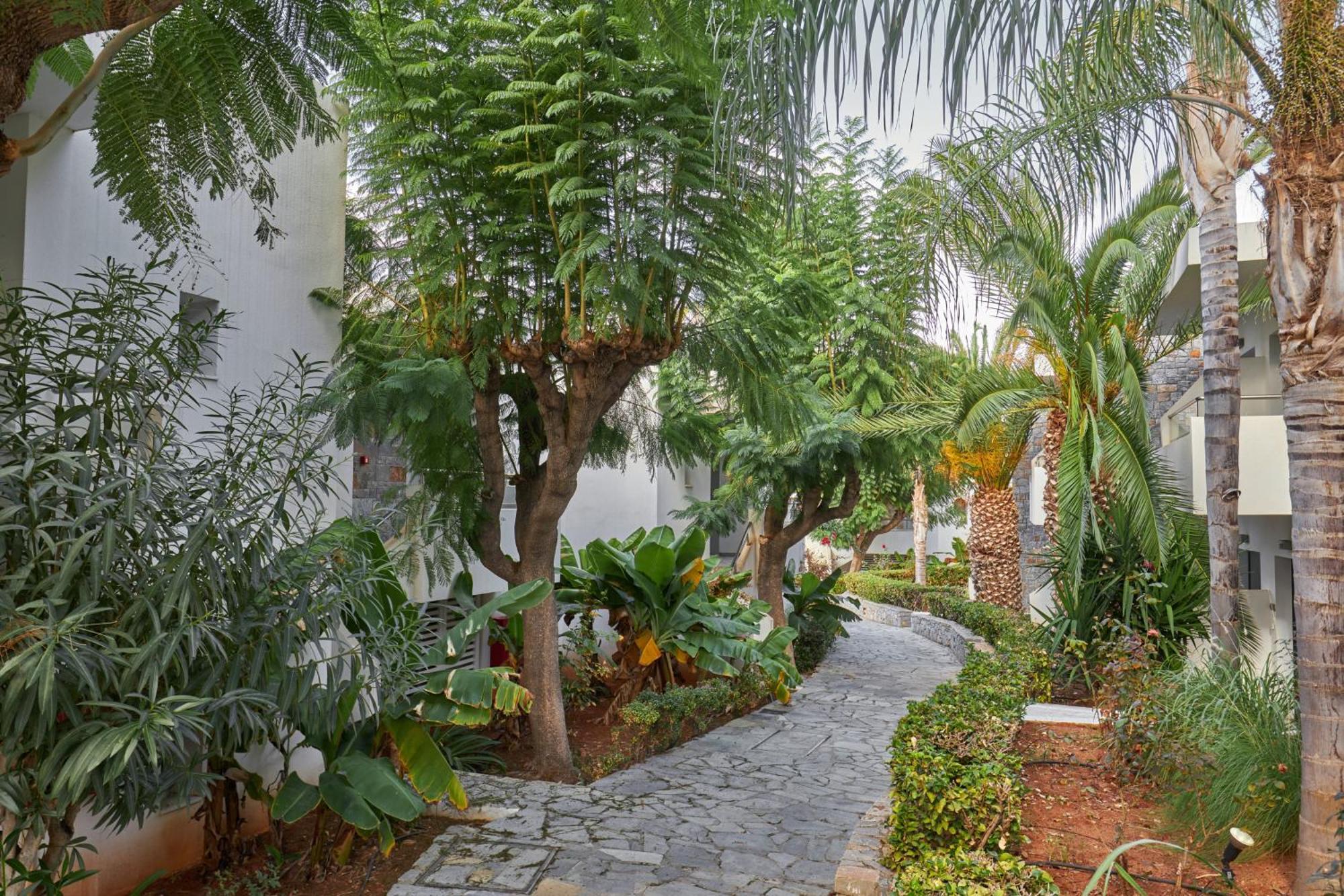 Resort Kyknos & Malia (Crete)