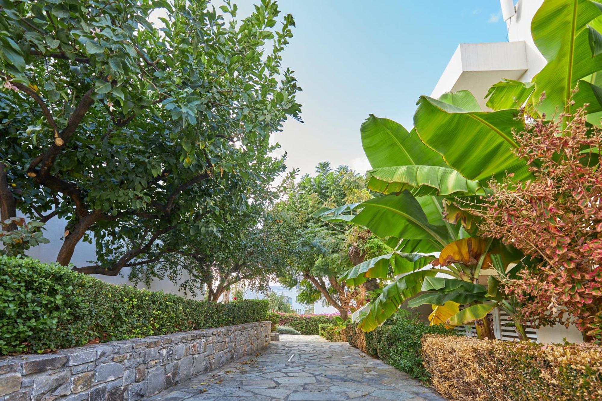Resort Kyknos & 4*