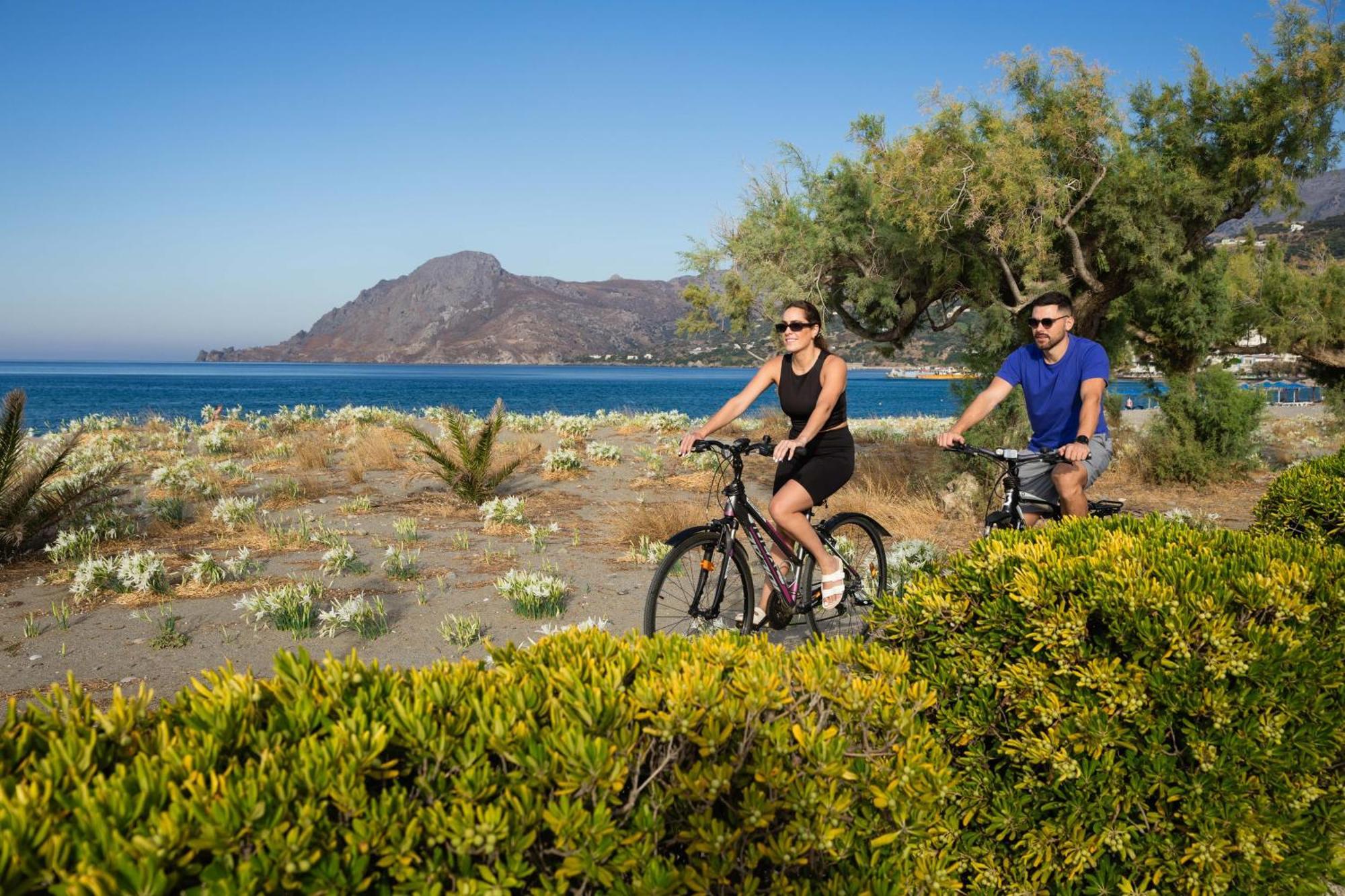 Alianthos Garden 3* Plakias