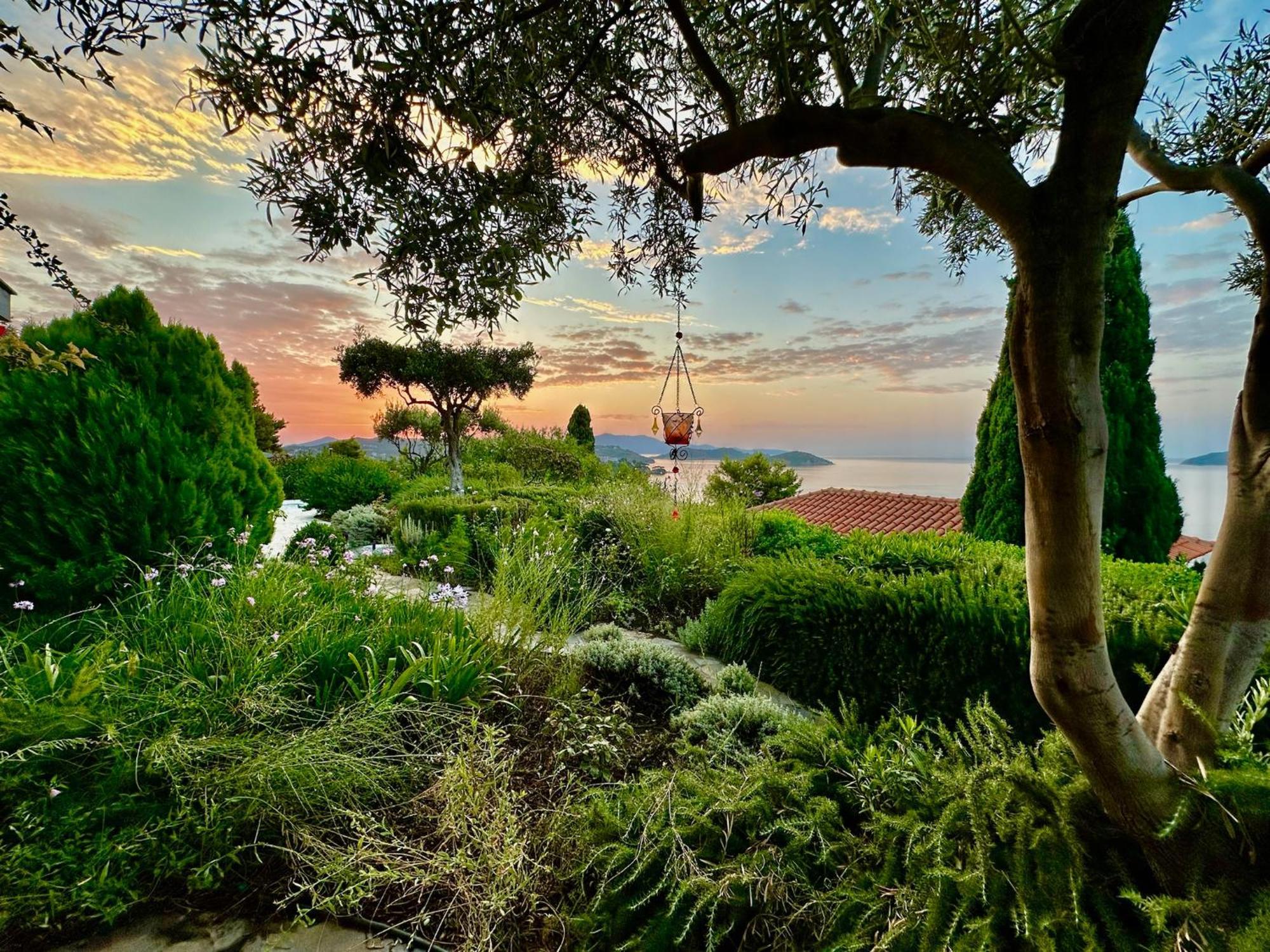 Guest house Athena Megali Ammos (Skiathos)