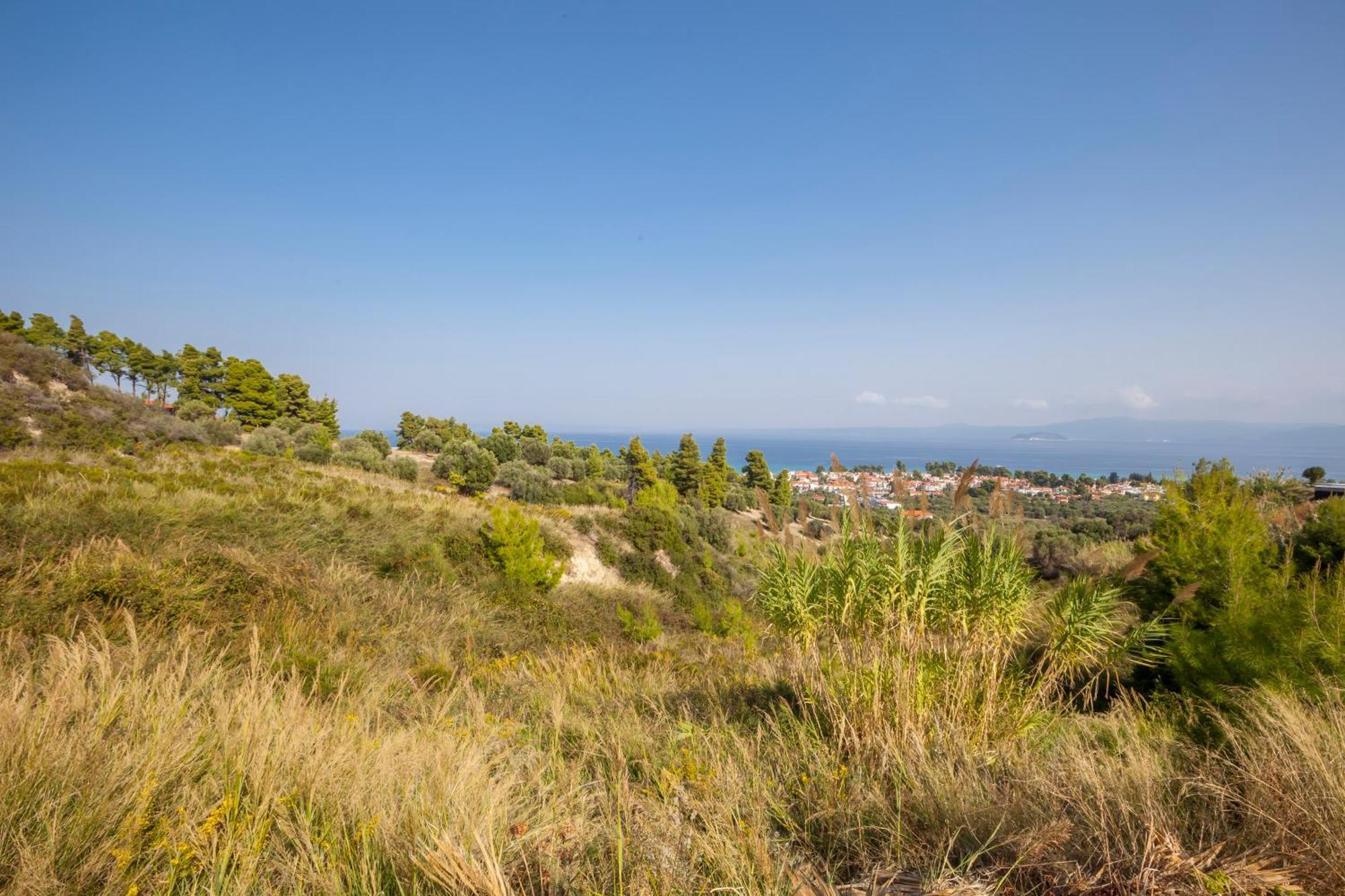 Panoramic View Anna *