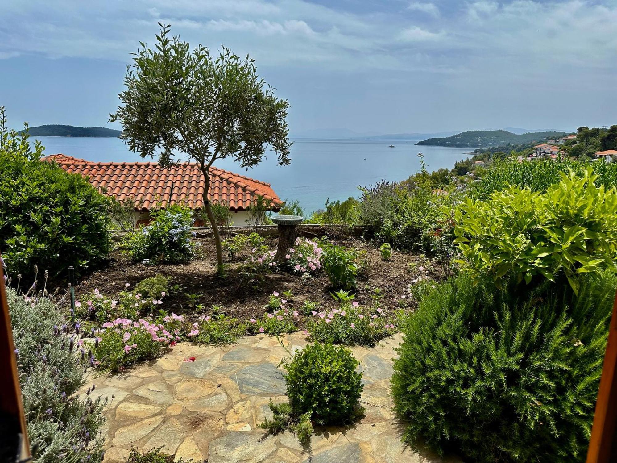 Guest house Athena