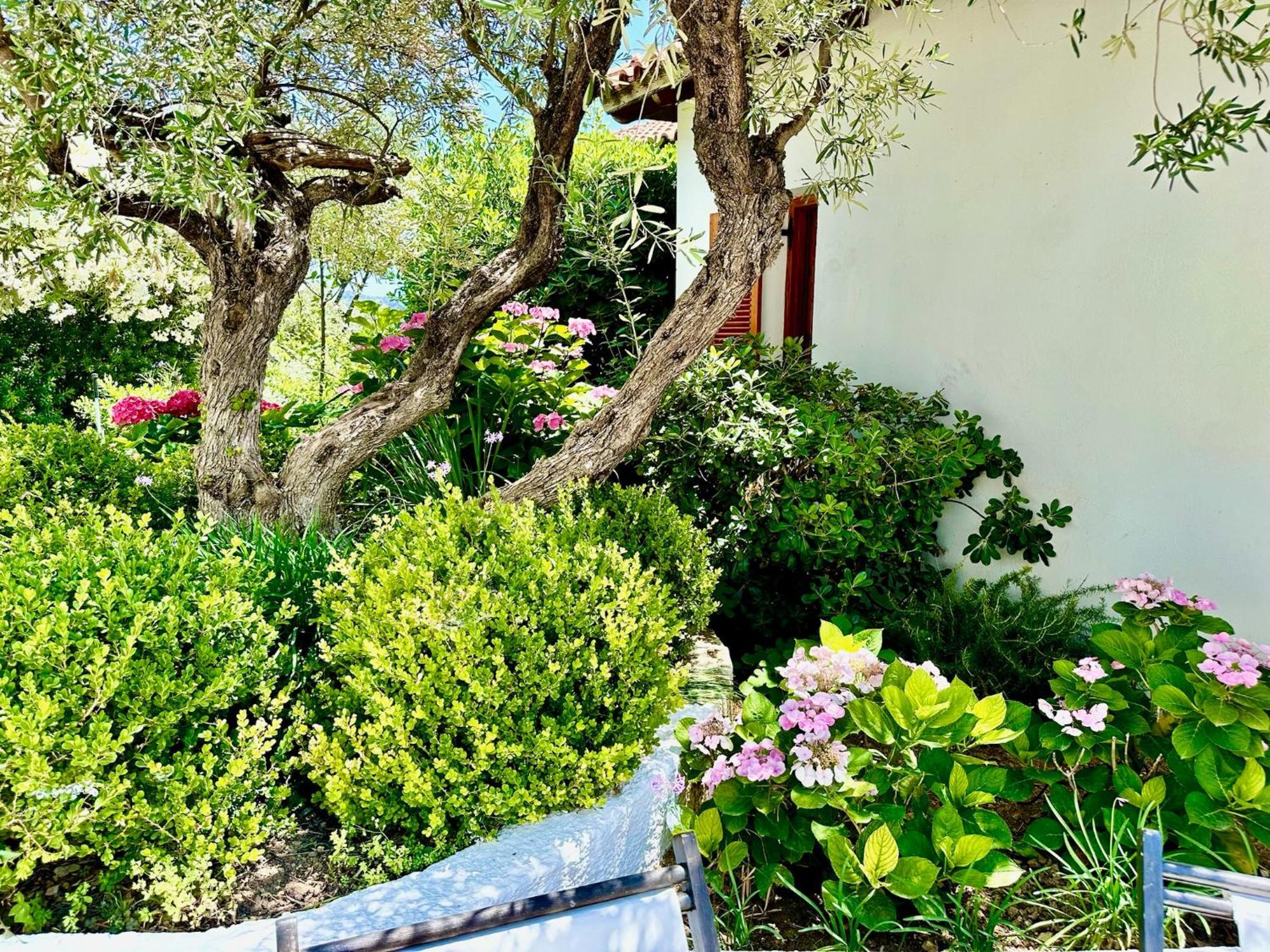 Guest house Athena *
