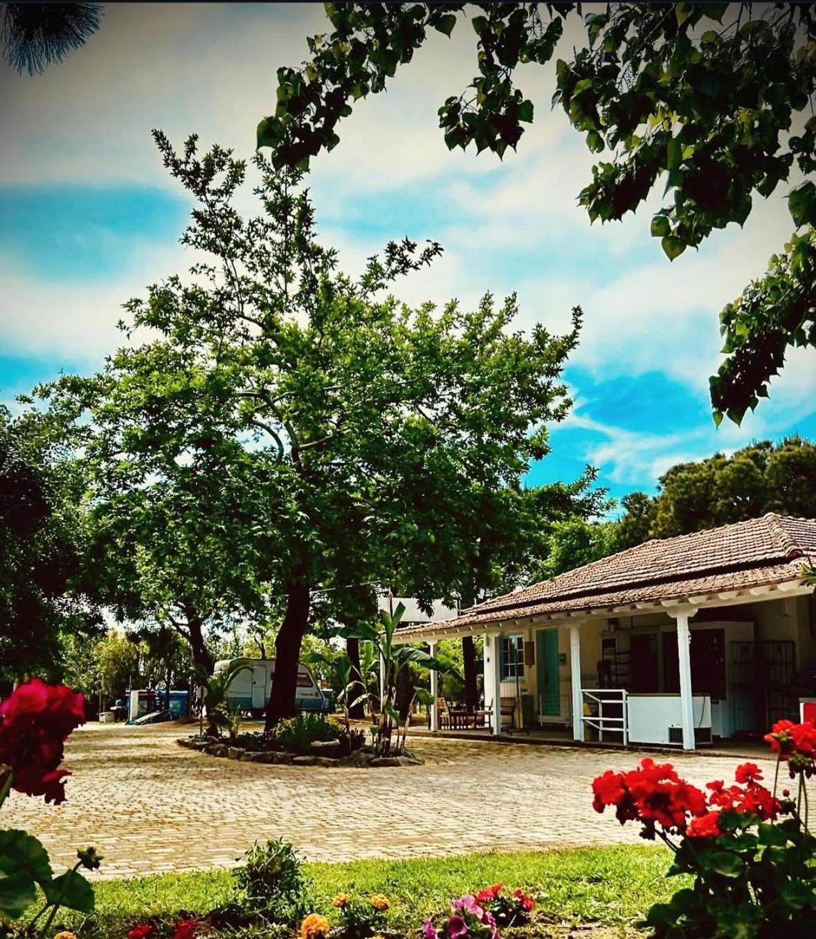 Campsite Pitsoni
