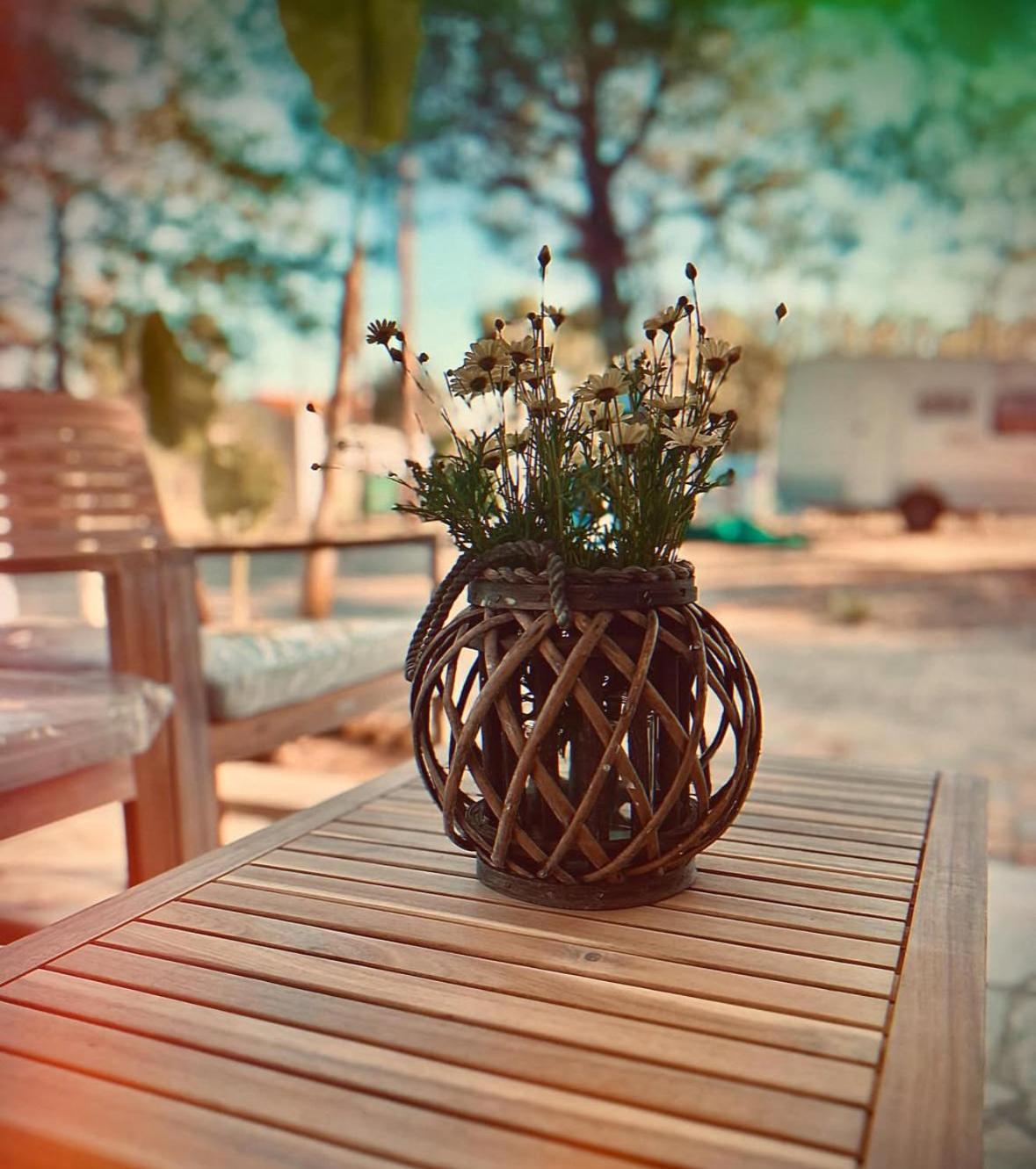 Pitsoni Campsite Sykia Chalkidikis