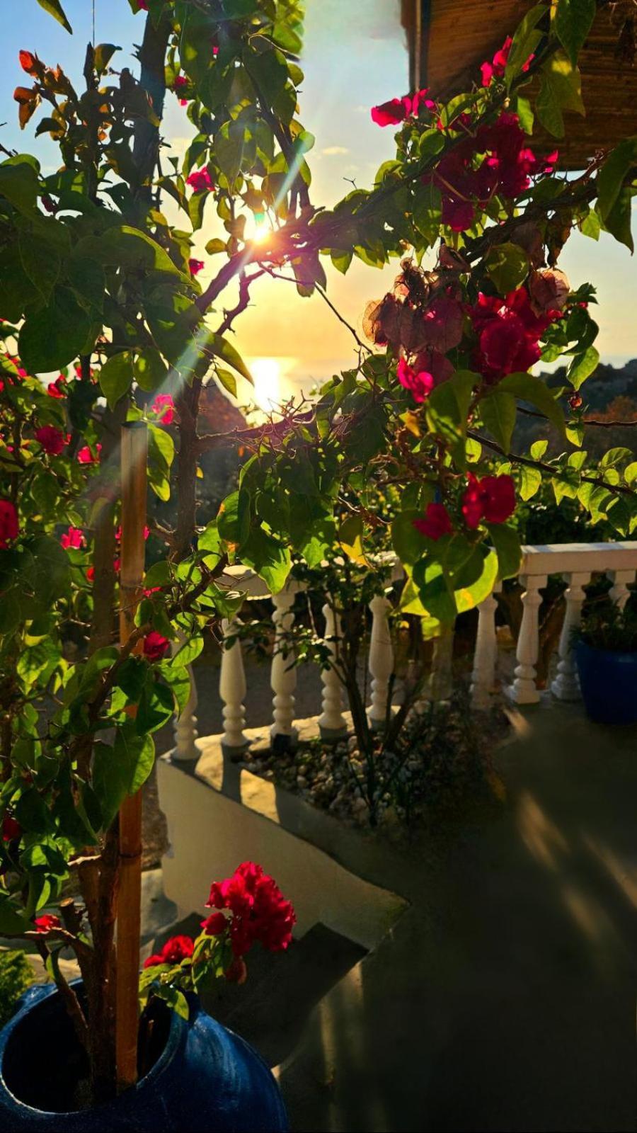 Aegean Serenity - Sea View Retreat