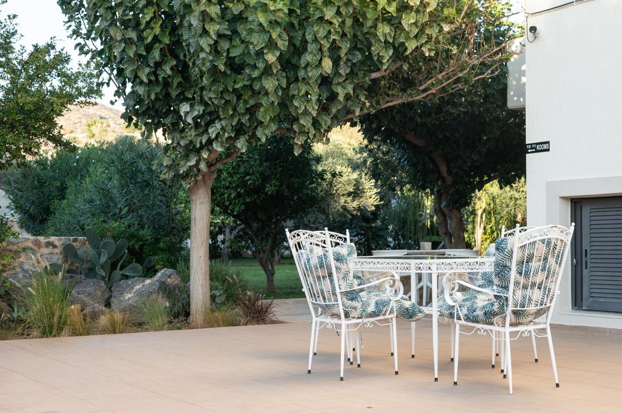 Mear Luxury Homes - Cretan Sunny Gems Apartment *