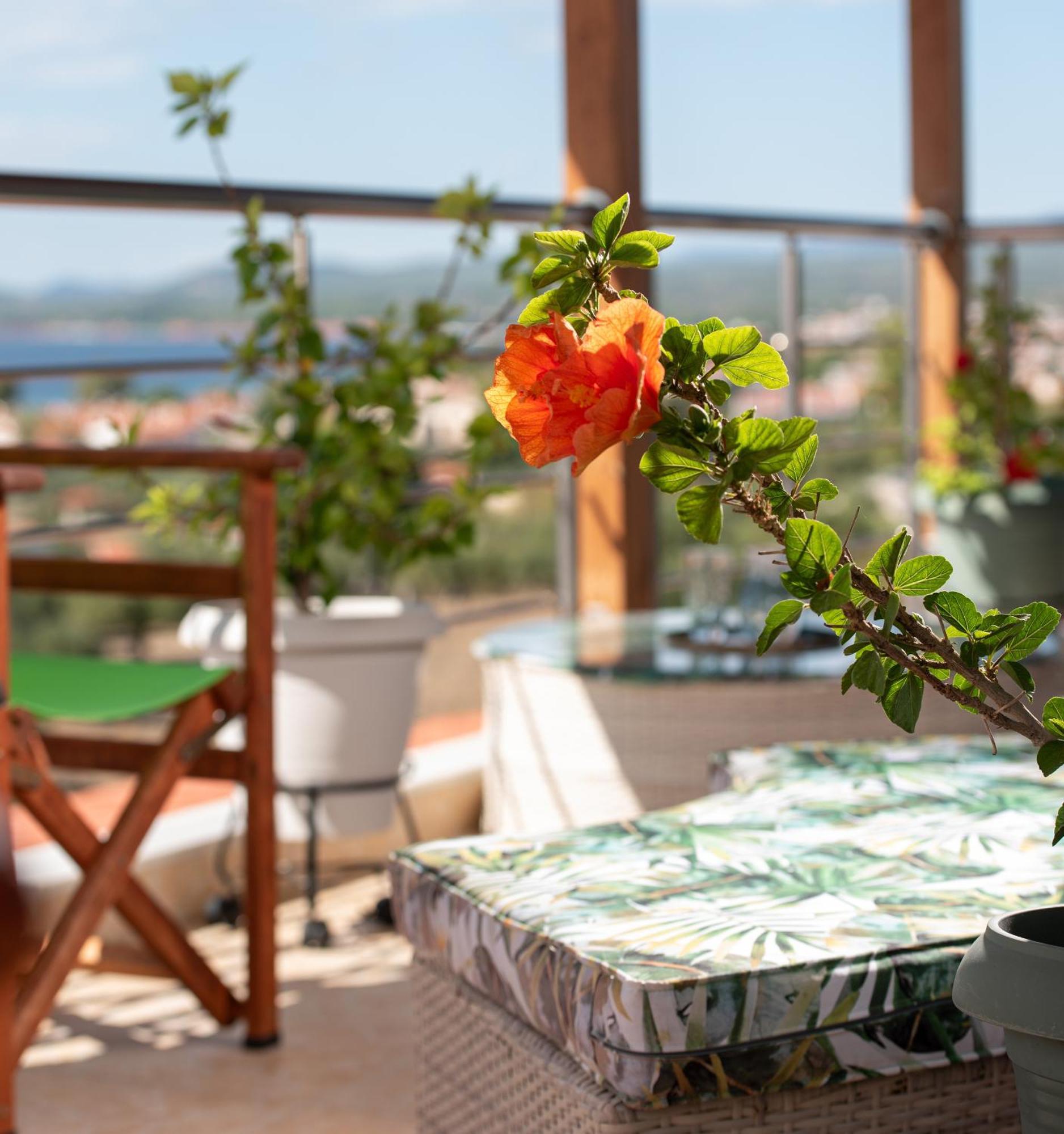 Luxury Nikiti (Sithonia)